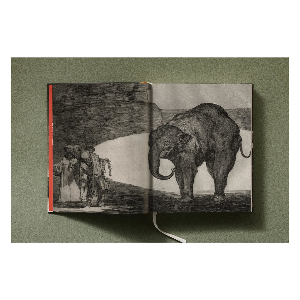 Goya: The Complete Prints (German, French, English)