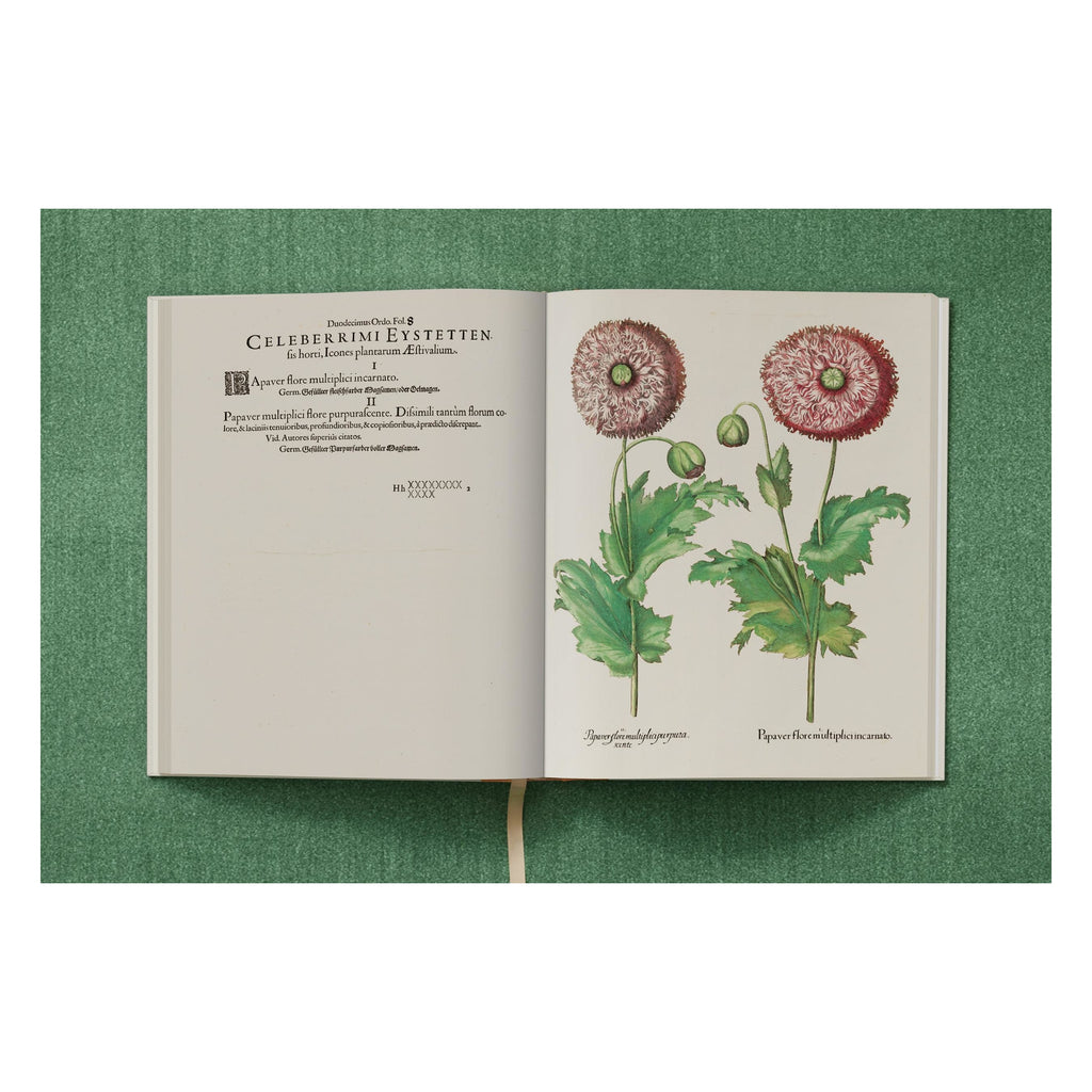 Basilius Besler: The Garden at Eichstätt (German, French, English)