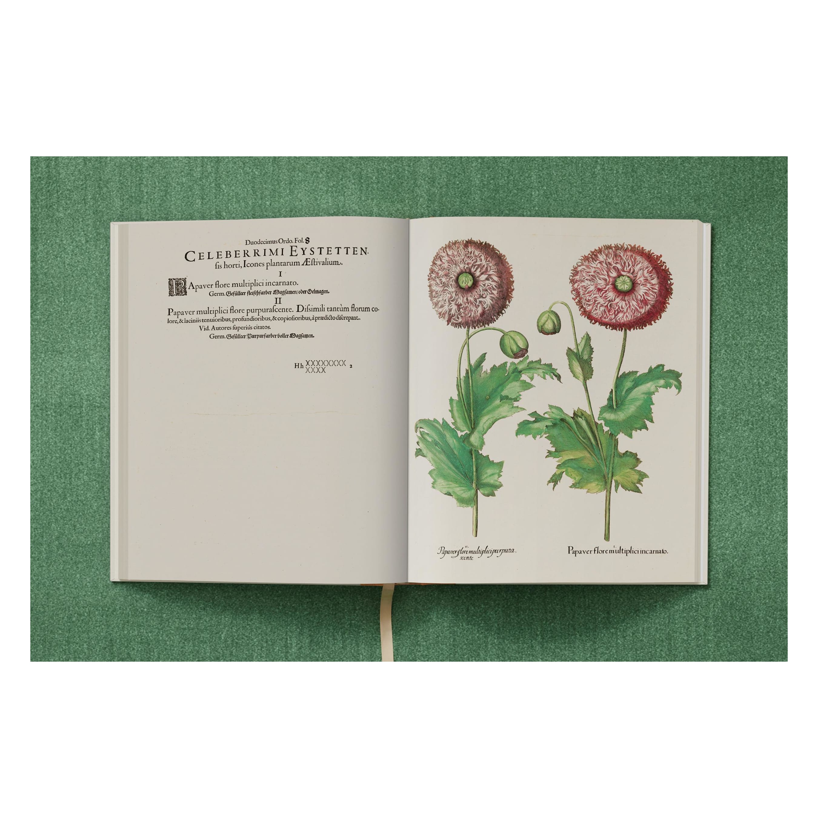 Basilius Besler: The Garden at Eichstätt (German, French, English)