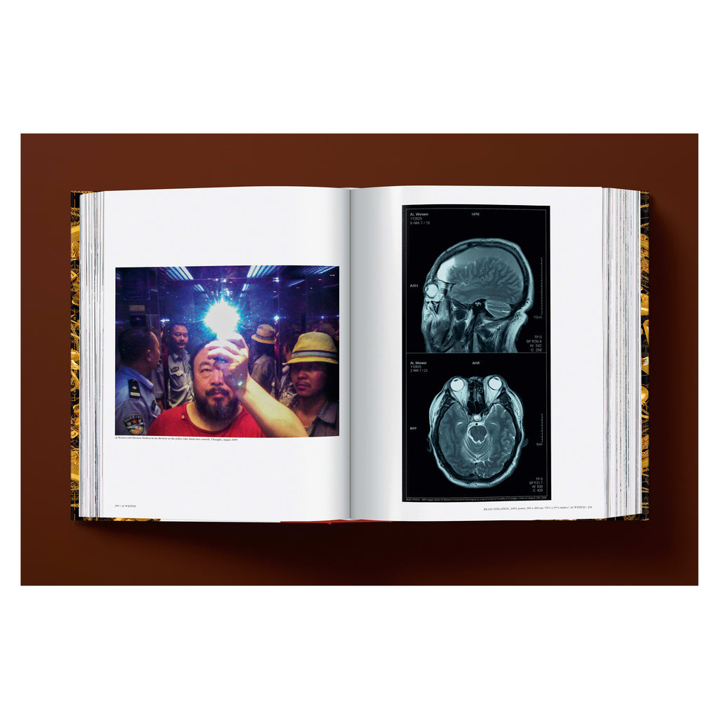 Ai Weiwei: Updated Edition (German, French, English)