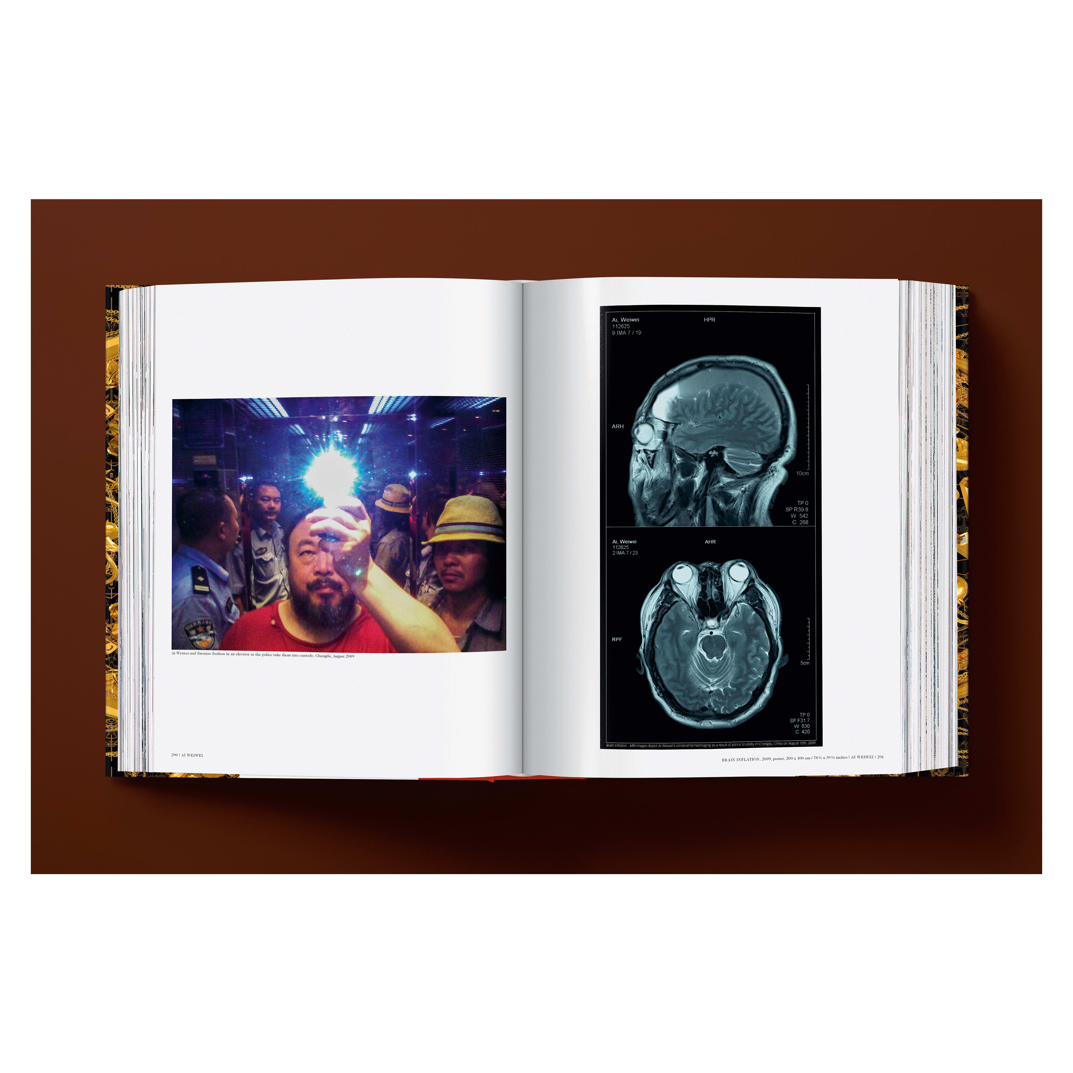 Ai Weiwei: Updated Edition (German, French, English)