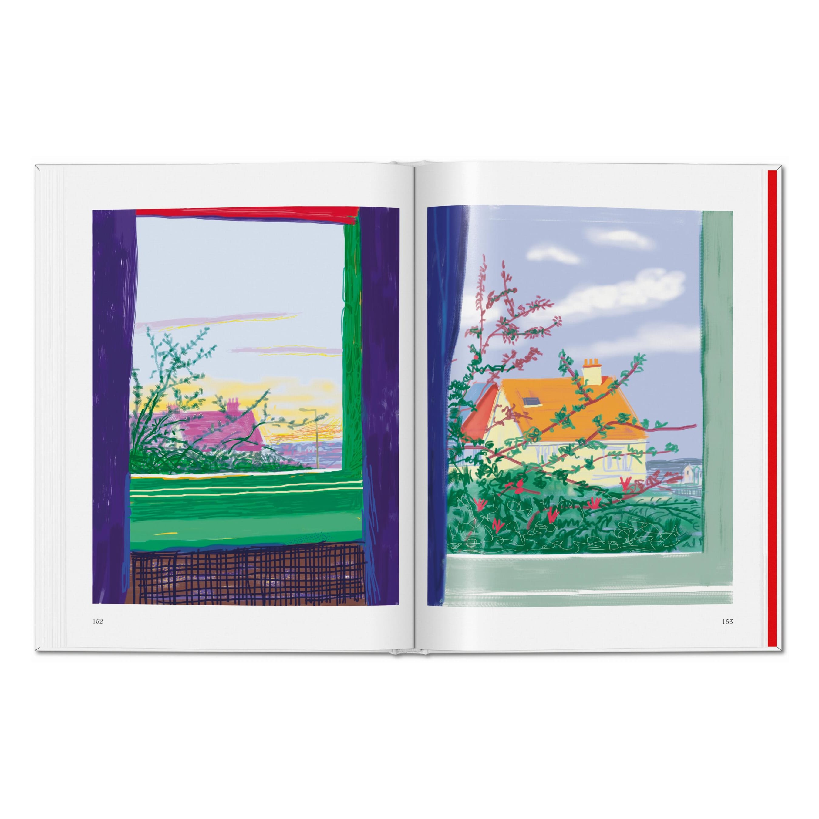 David Hockney: My Window