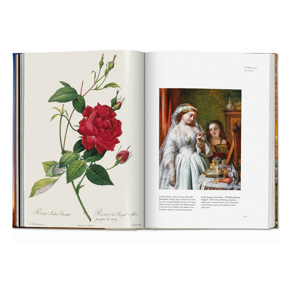 Plant Magick: The Library of Esoterica
