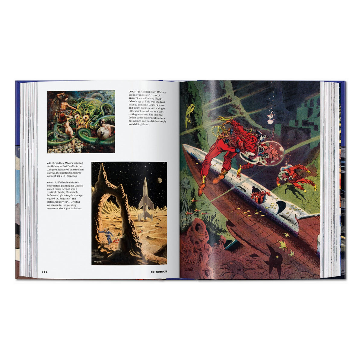 EC Comics: The New Trend 1950–54 45th Ed. (English)