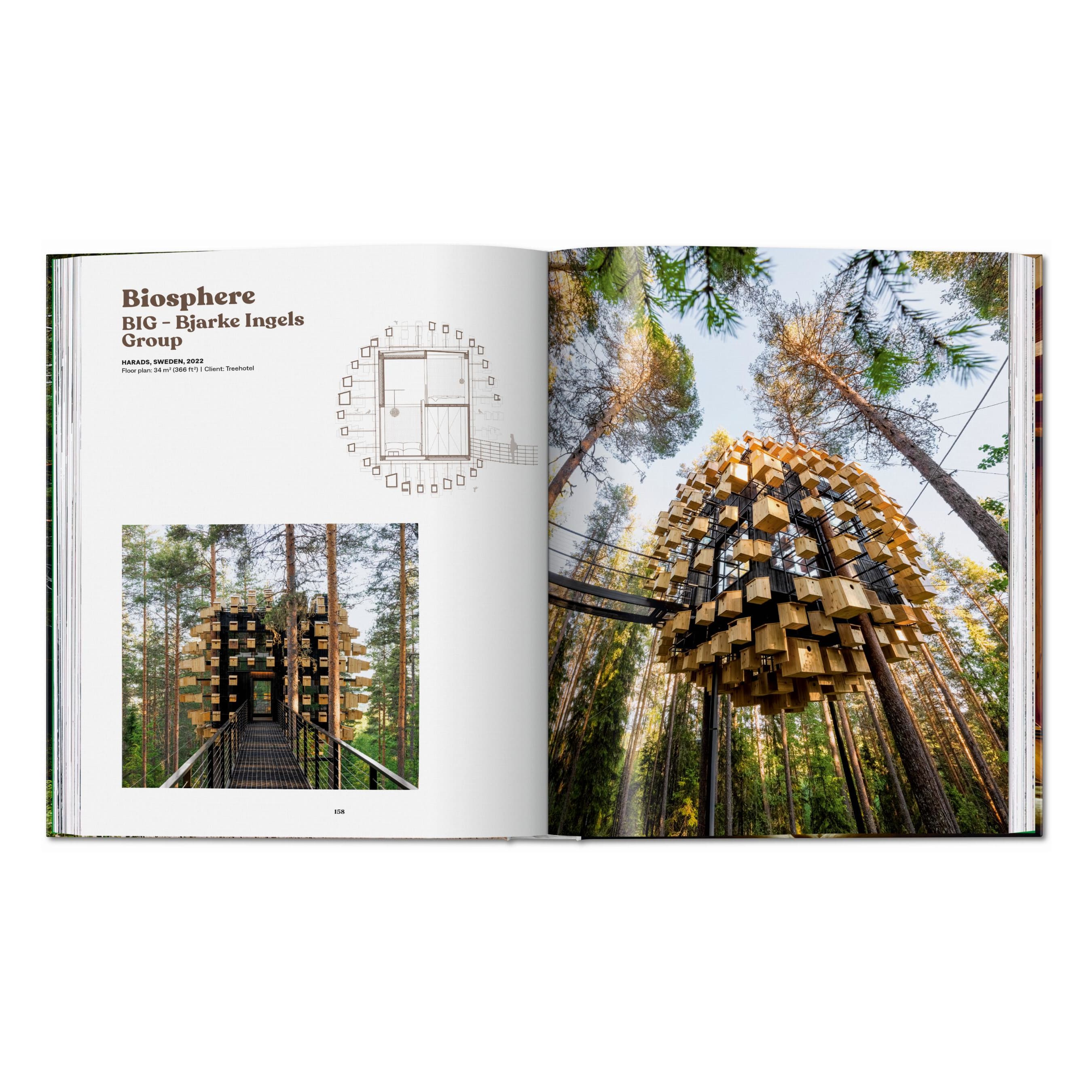 Modern Tree Houses
