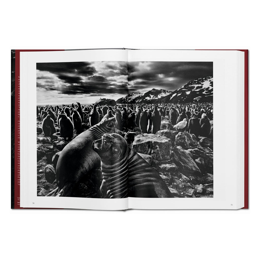 Sebastião Salgado: Genesis