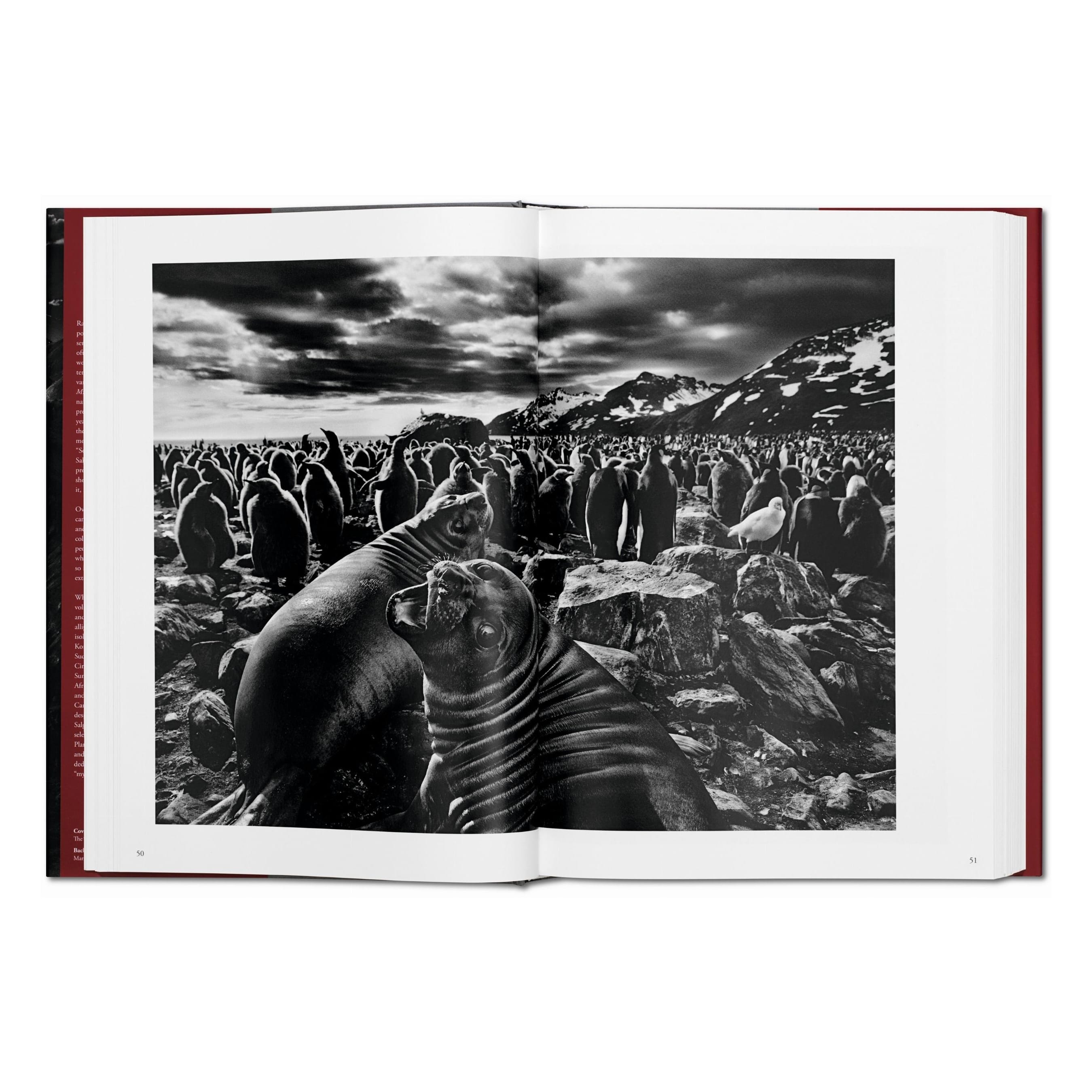 Sebastião Salgado: Genesis