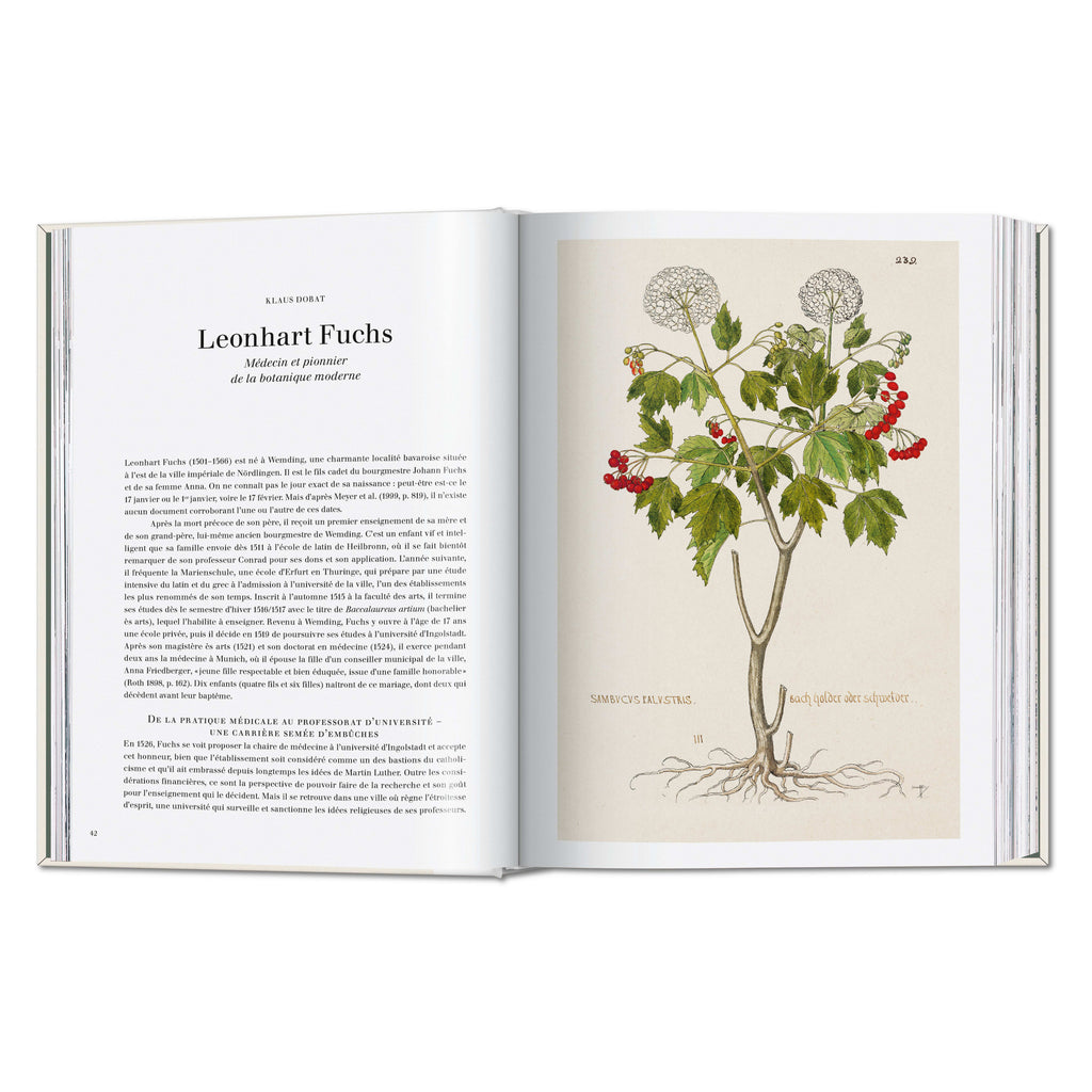 Leonhart Fuchs: The New Herbal (German, French, English)