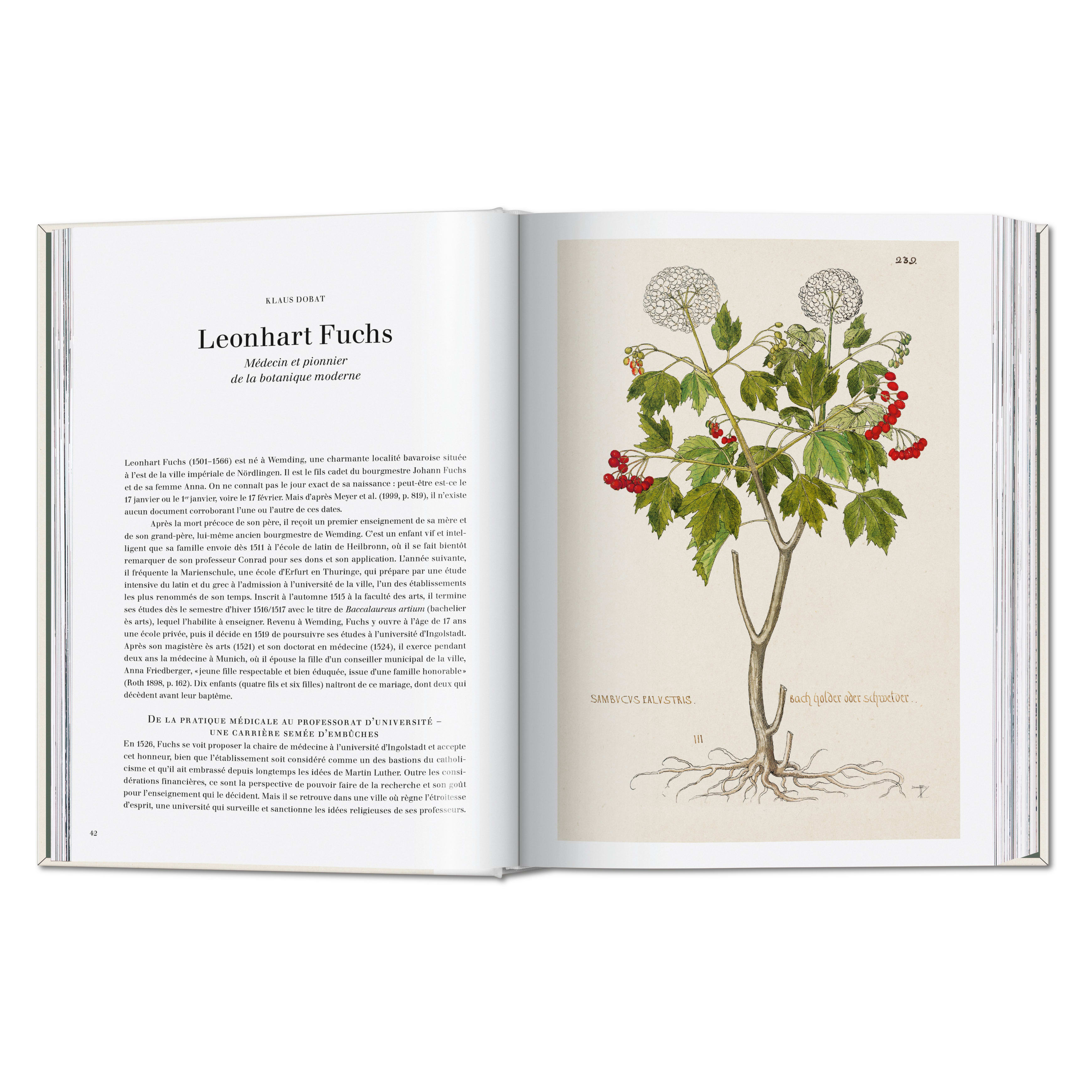 Leonhart Fuchs: The New Herbal (German, French, English)