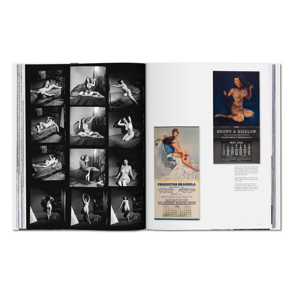 The Art of Pin-up (German, French, English)