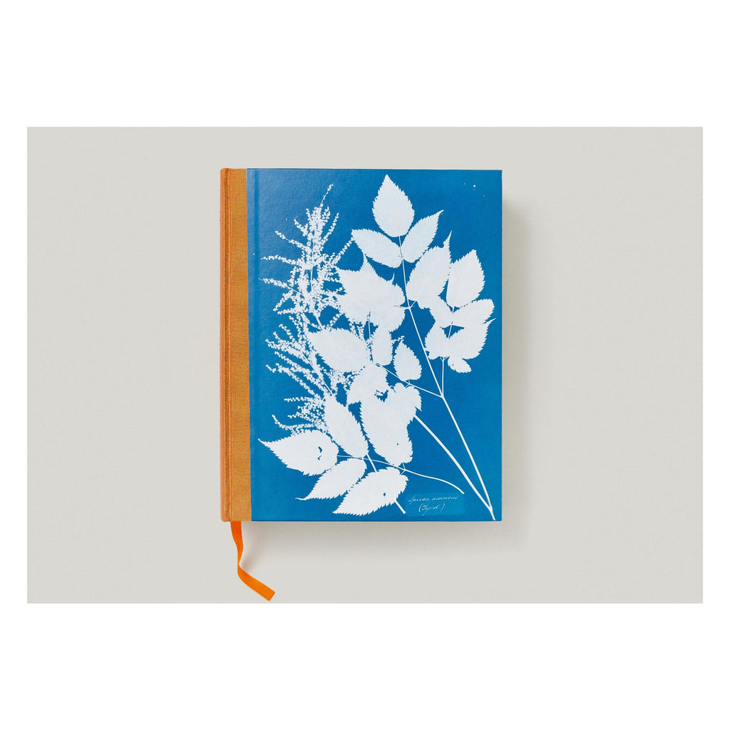 Anna Atkins. Cyanotypes (German, French, English)