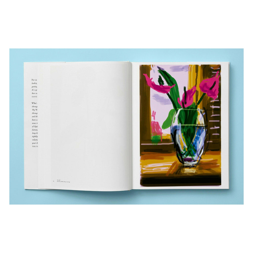 David Hockney: My Window