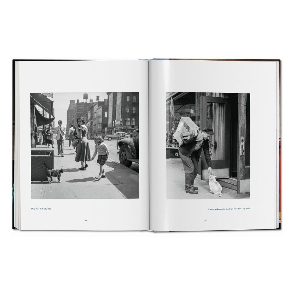 Walter Chandoha: Cats, Photographs 1942–2018 (German, French, English)