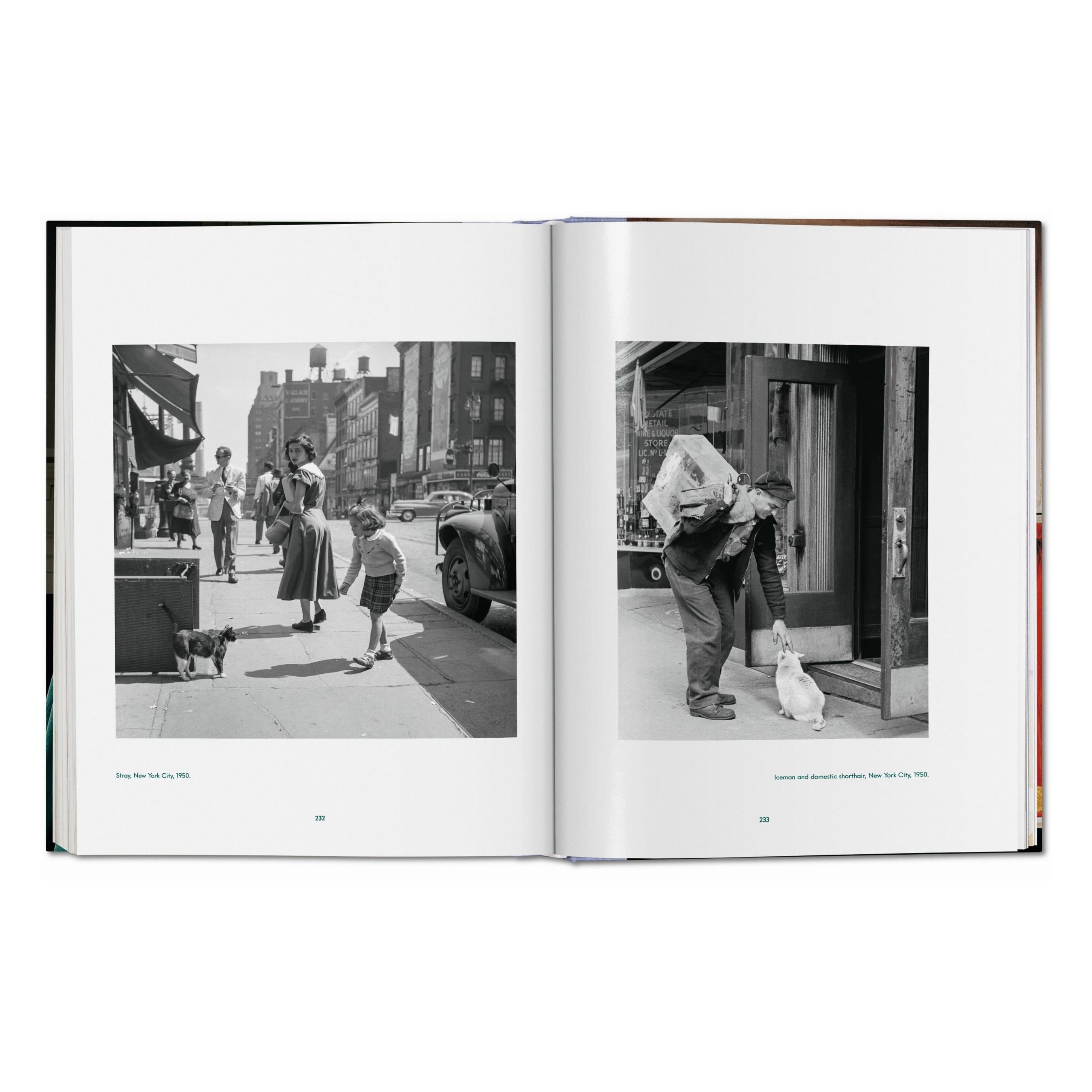 Walter Chandoha: Cats, Photographs 1942–2018 (German, French, English)