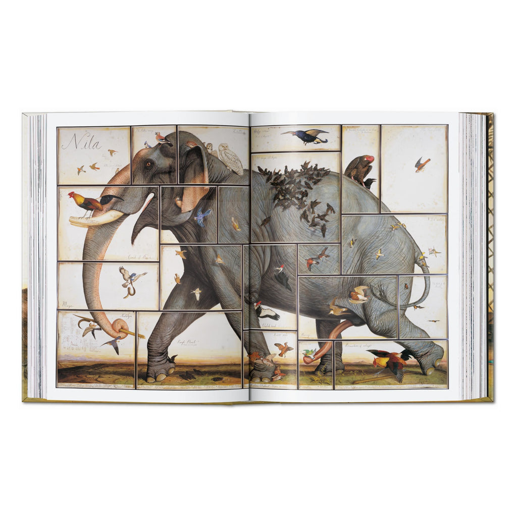 Walton Ford, 40th Ed. (German, French, English)