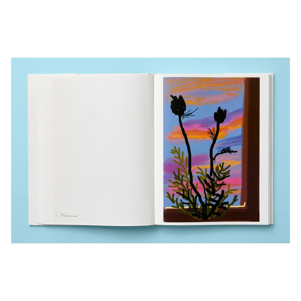 David Hockney: My Window