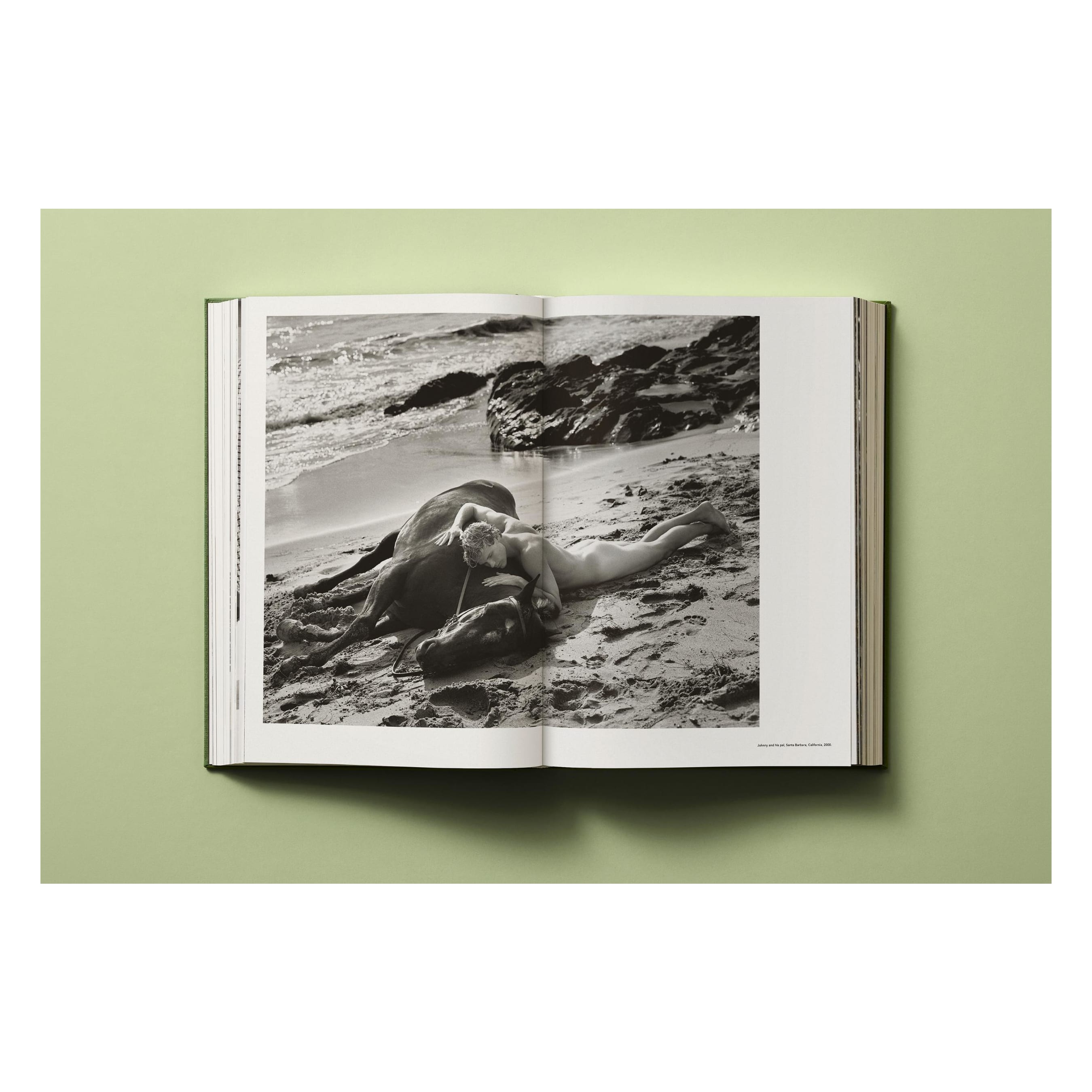 Bruce Weber: My Education (German, French, English)