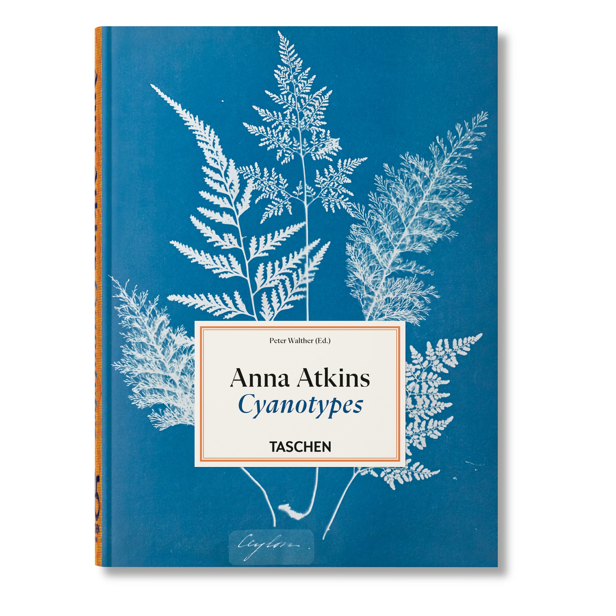 Anna Atkins. Cyanotypes: 45th Ed. (German, French, English)
