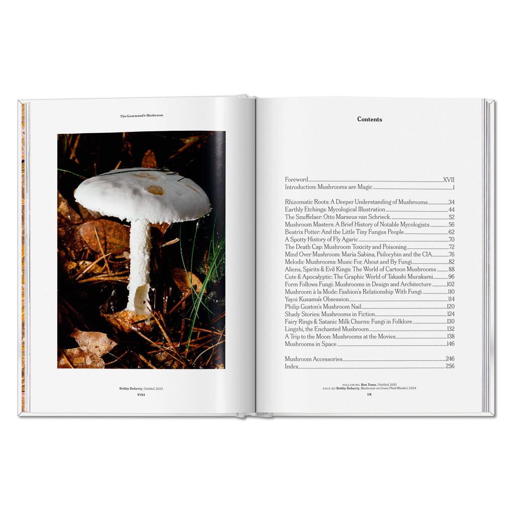 The Gourmand's Mushroom: A Collection of Stories and Recipes (English)