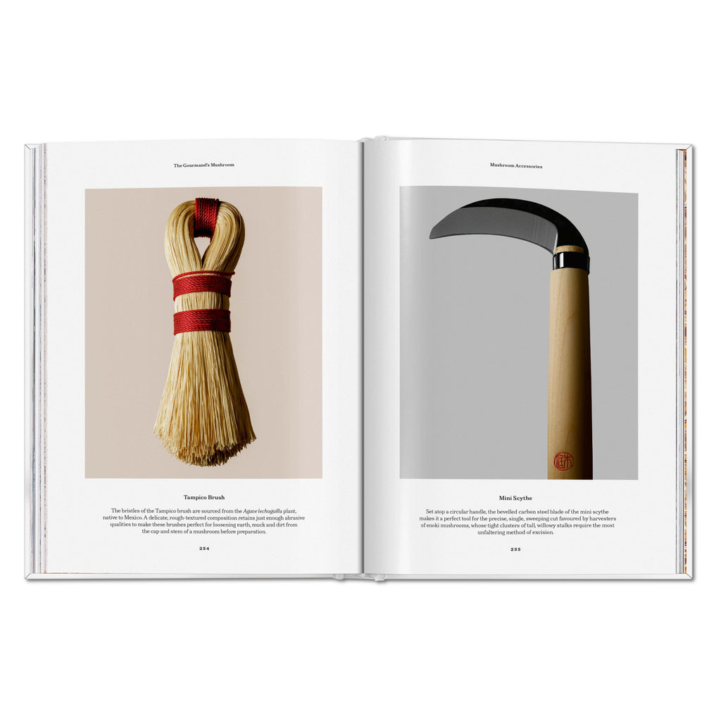 The Gourmand's Mushroom: A Collection of Stories and Recipes (English)