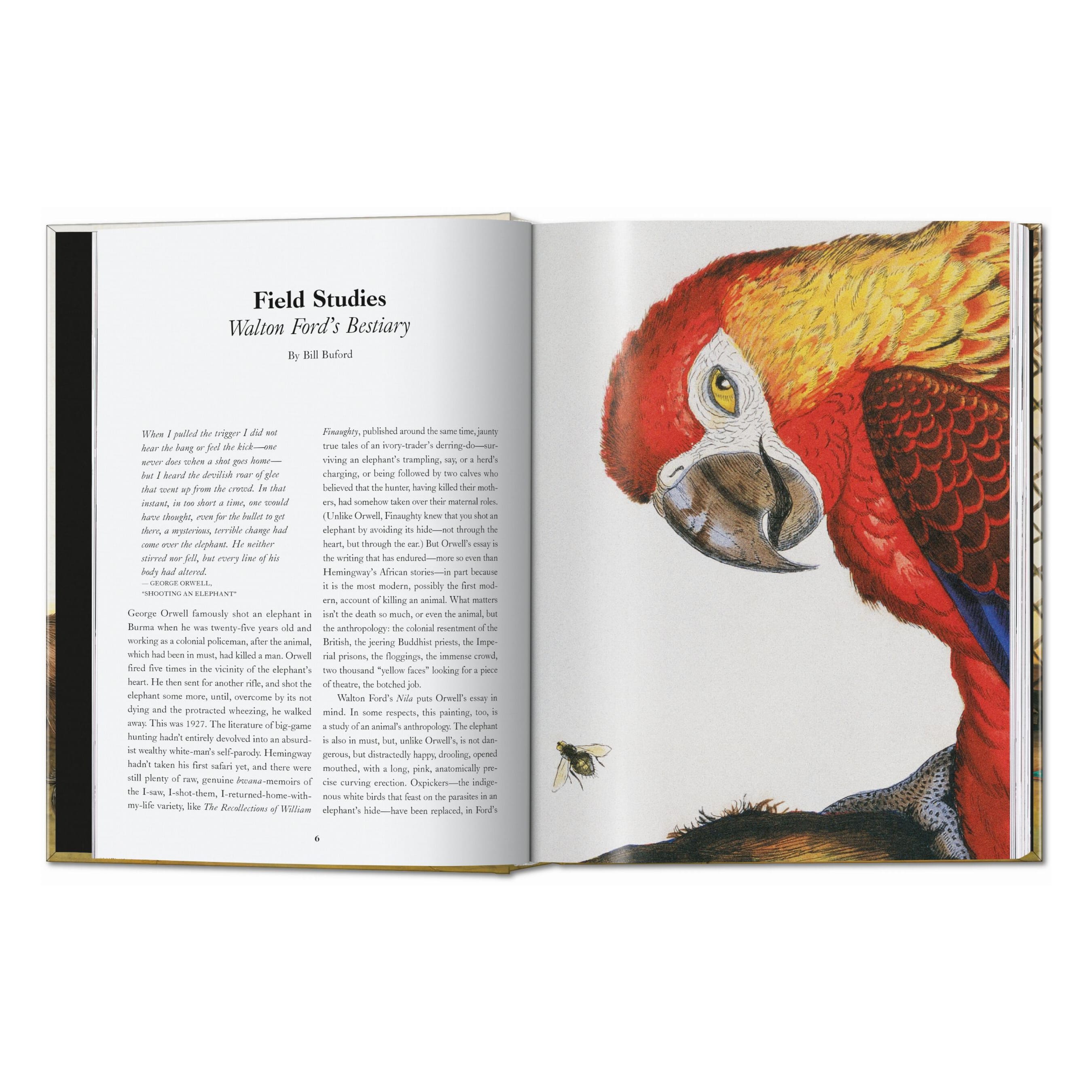 Walton Ford, 40th Ed. (German, French, English)