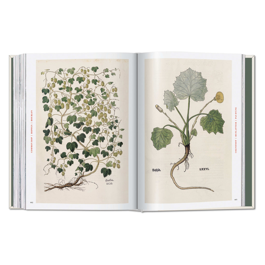Leonhart Fuchs: The New Herbal (German, French, English)