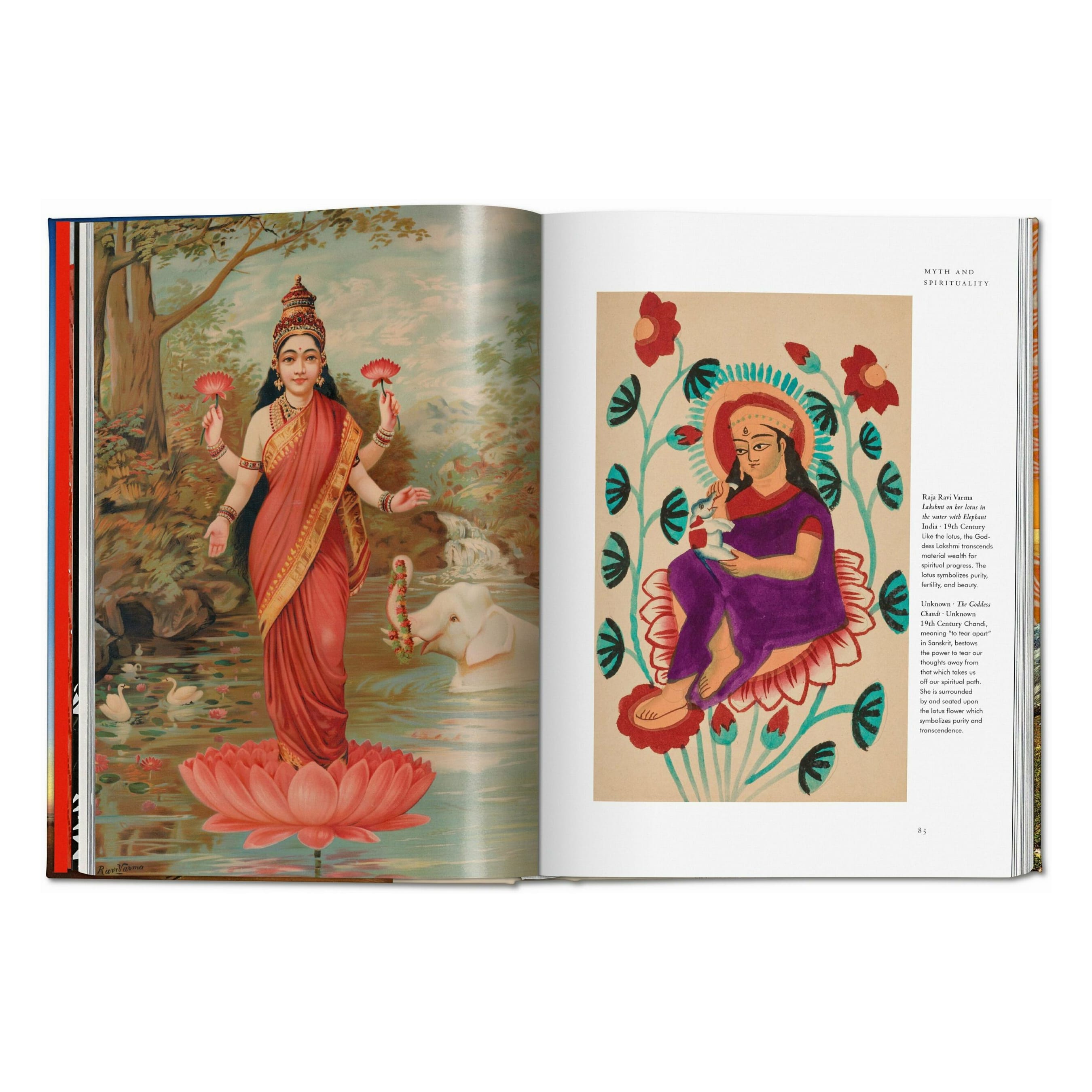 Plant Magick: The Library of Esoterica