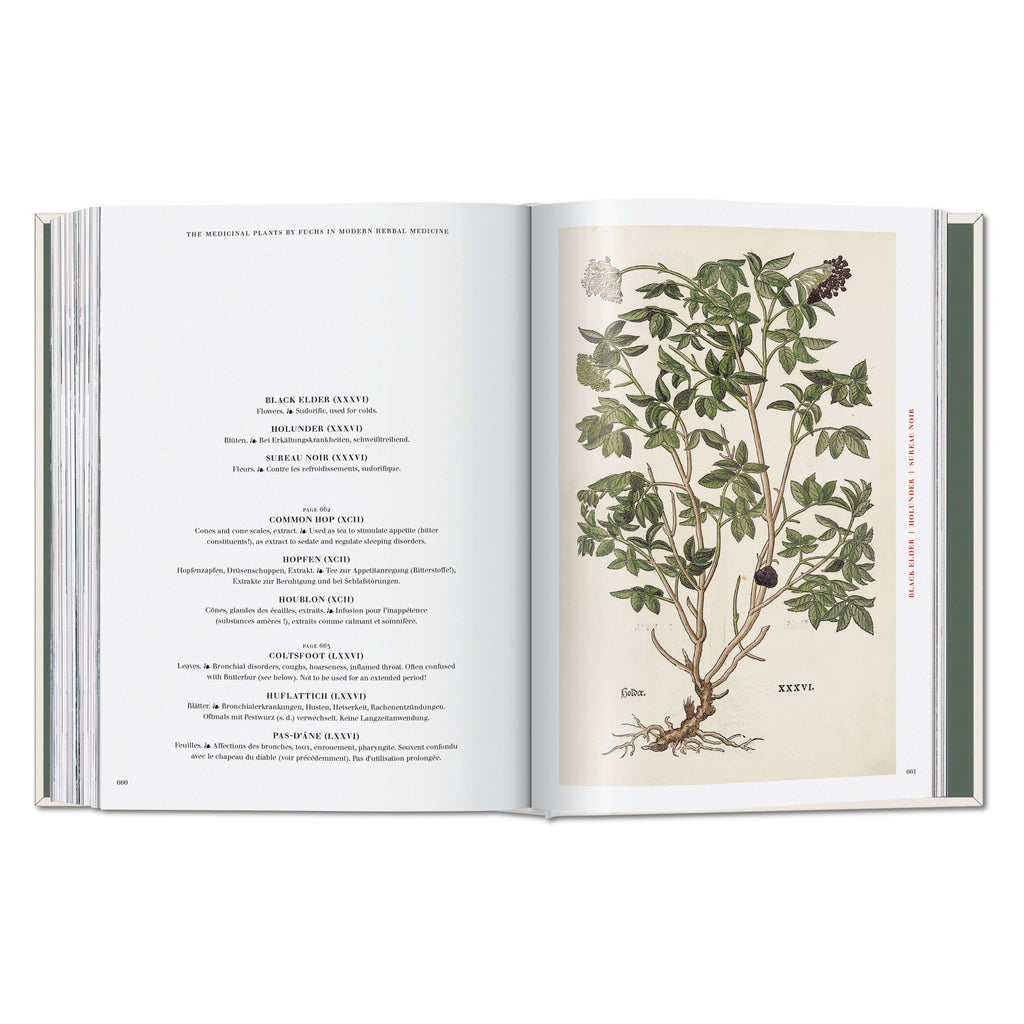 Leonhart Fuchs: The New Herbal (German, French, English)