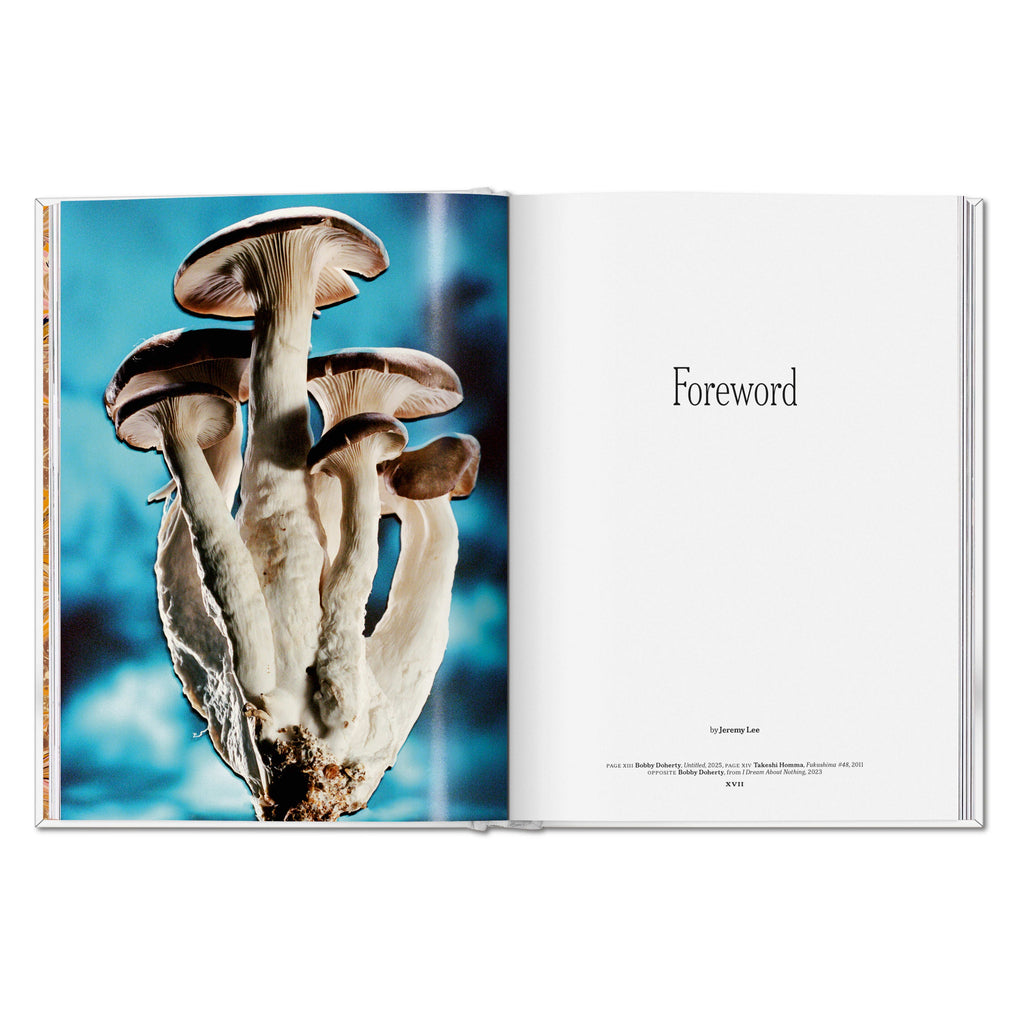 The Gourmand's Mushroom: A Collection of Stories and Recipes (English)