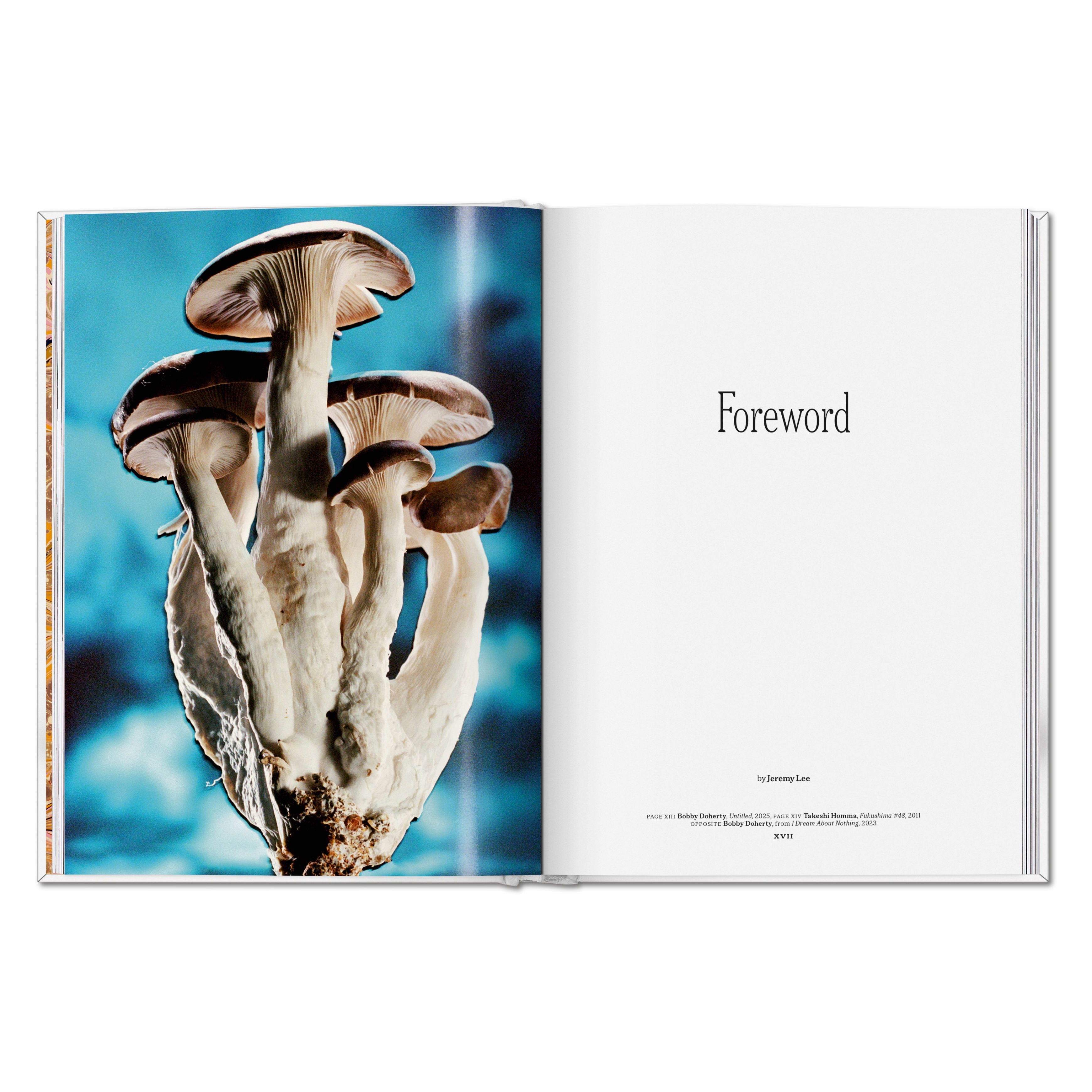 The Gourmand's Mushroom: A Collection of Stories and Recipes (English)