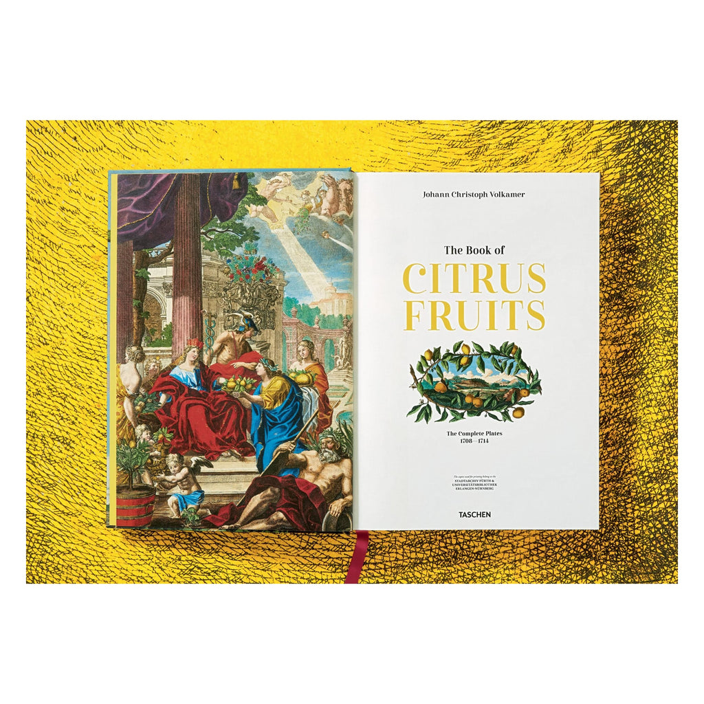 J. C. Volkamer: The Book of Citrus Fruits (German, French, English)