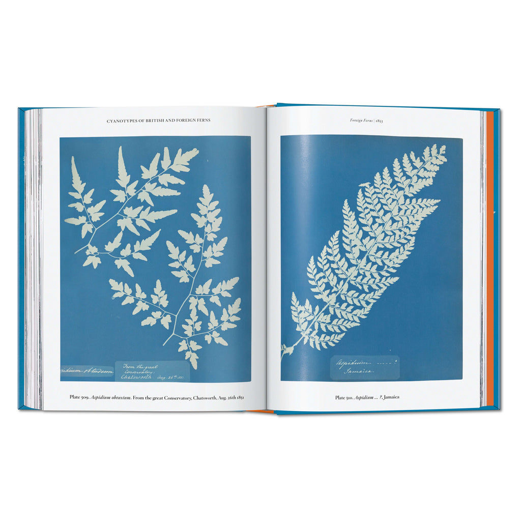 Anna Atkins. Cyanotypes: 45th Ed. (German, French, English)