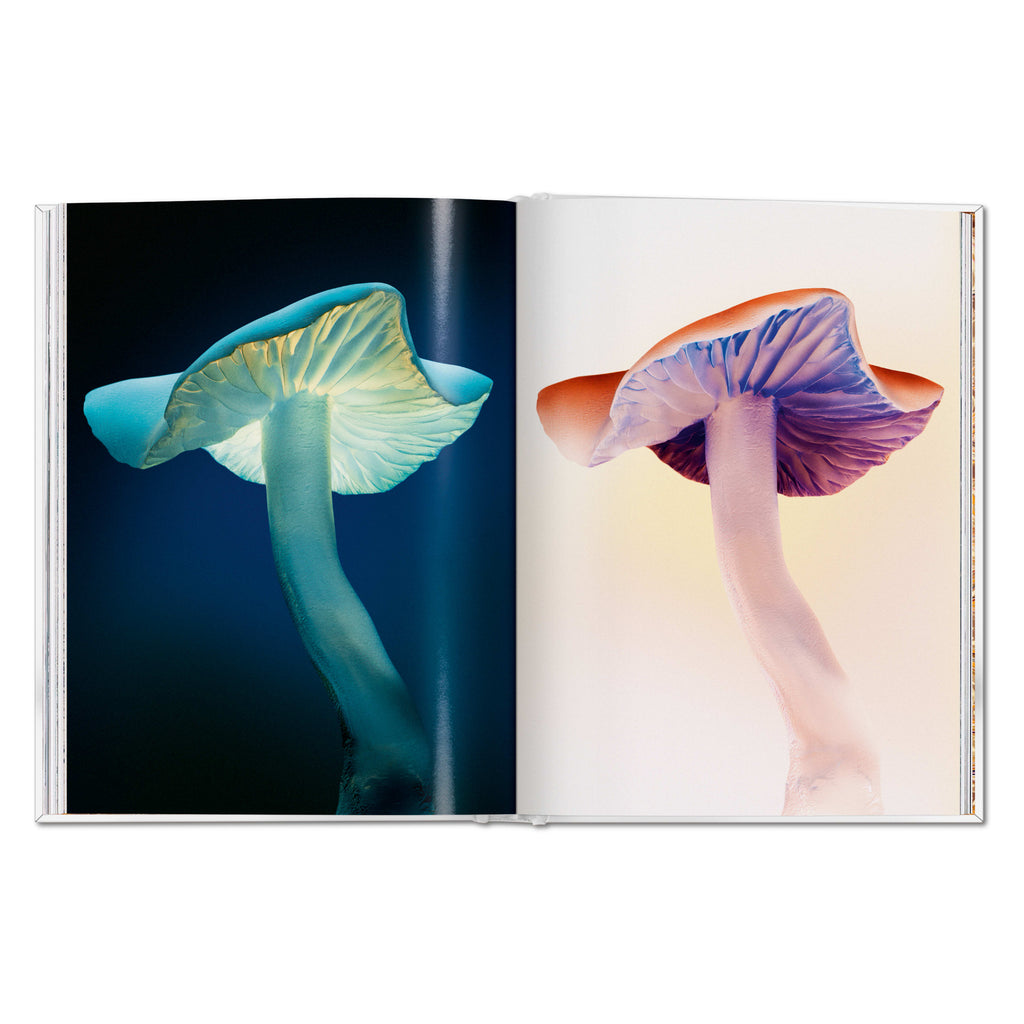 The Gourmand's Mushroom: A Collection of Stories and Recipes (English)