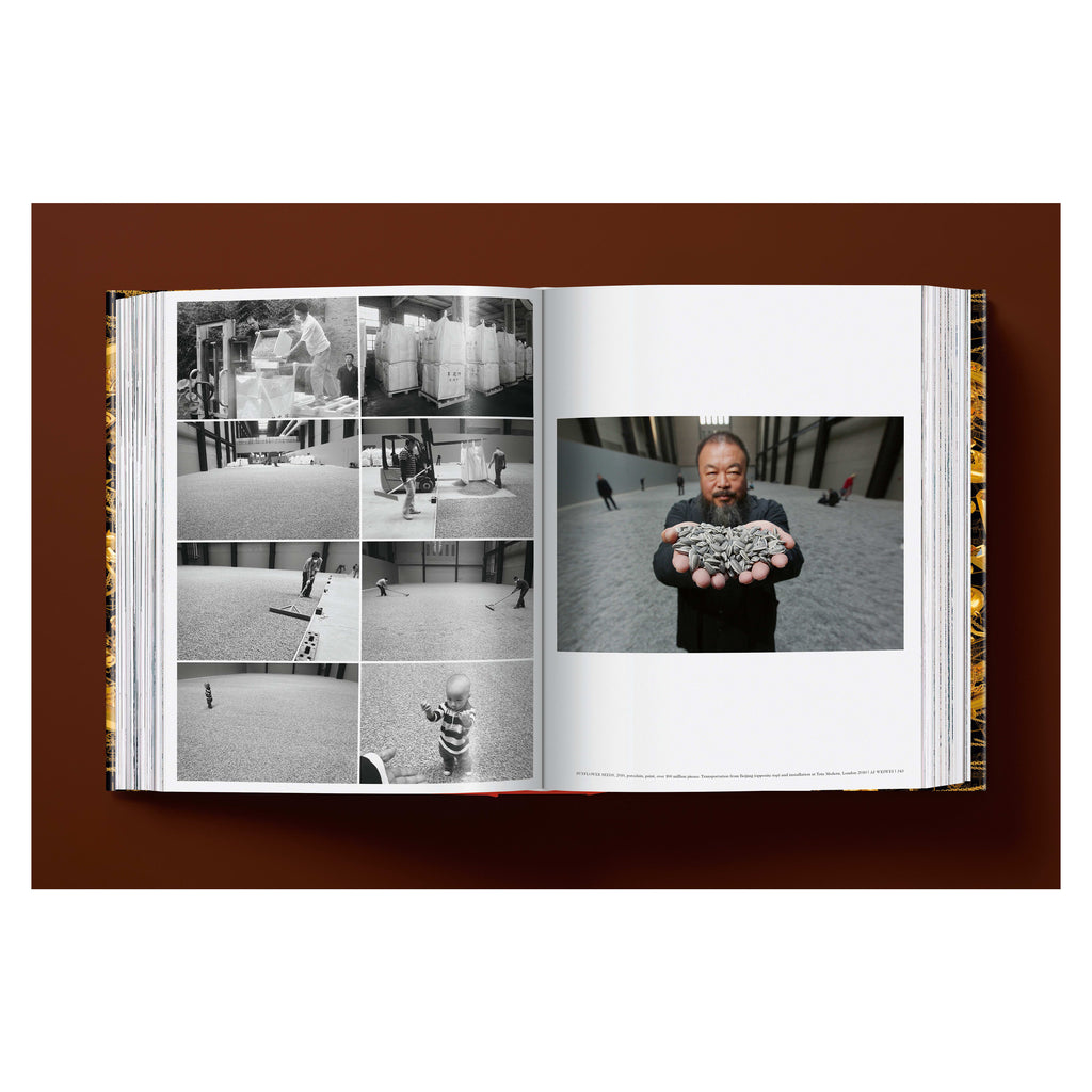 Ai Weiwei: Updated Edition (German, French, English)