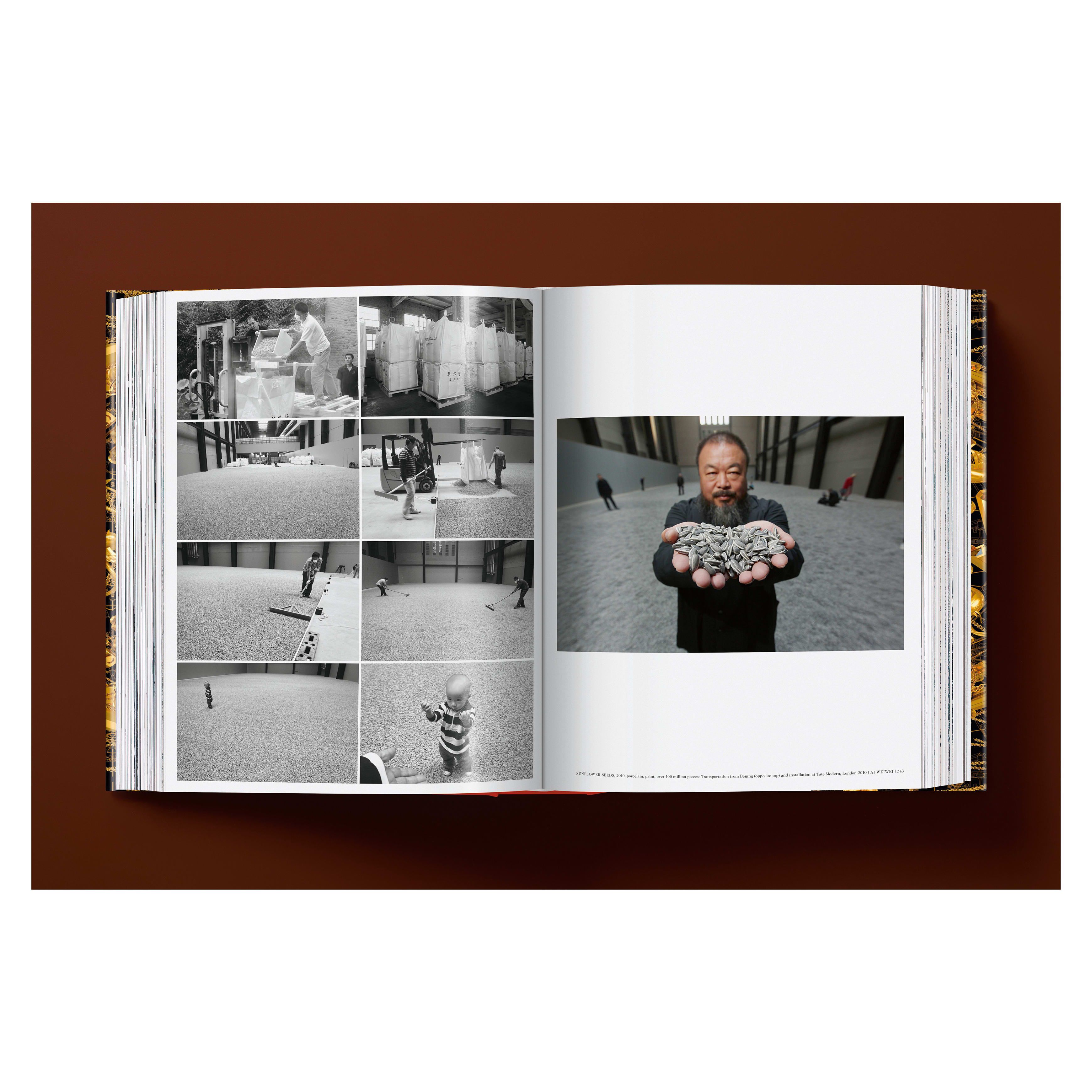 Ai Weiwei: Updated Edition (German, French, English)