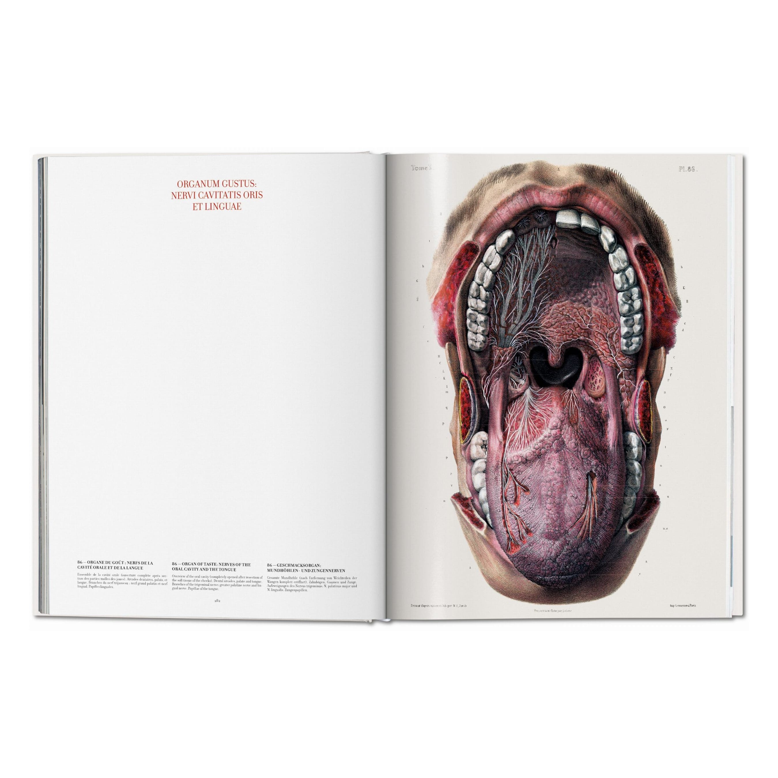 Bourgery: Atlas of Human Anatomy and Surgery (German, French, English)