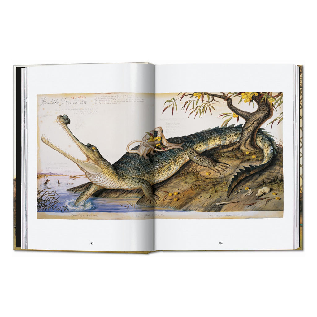 Walton Ford, 40th Ed. (German, French, English)