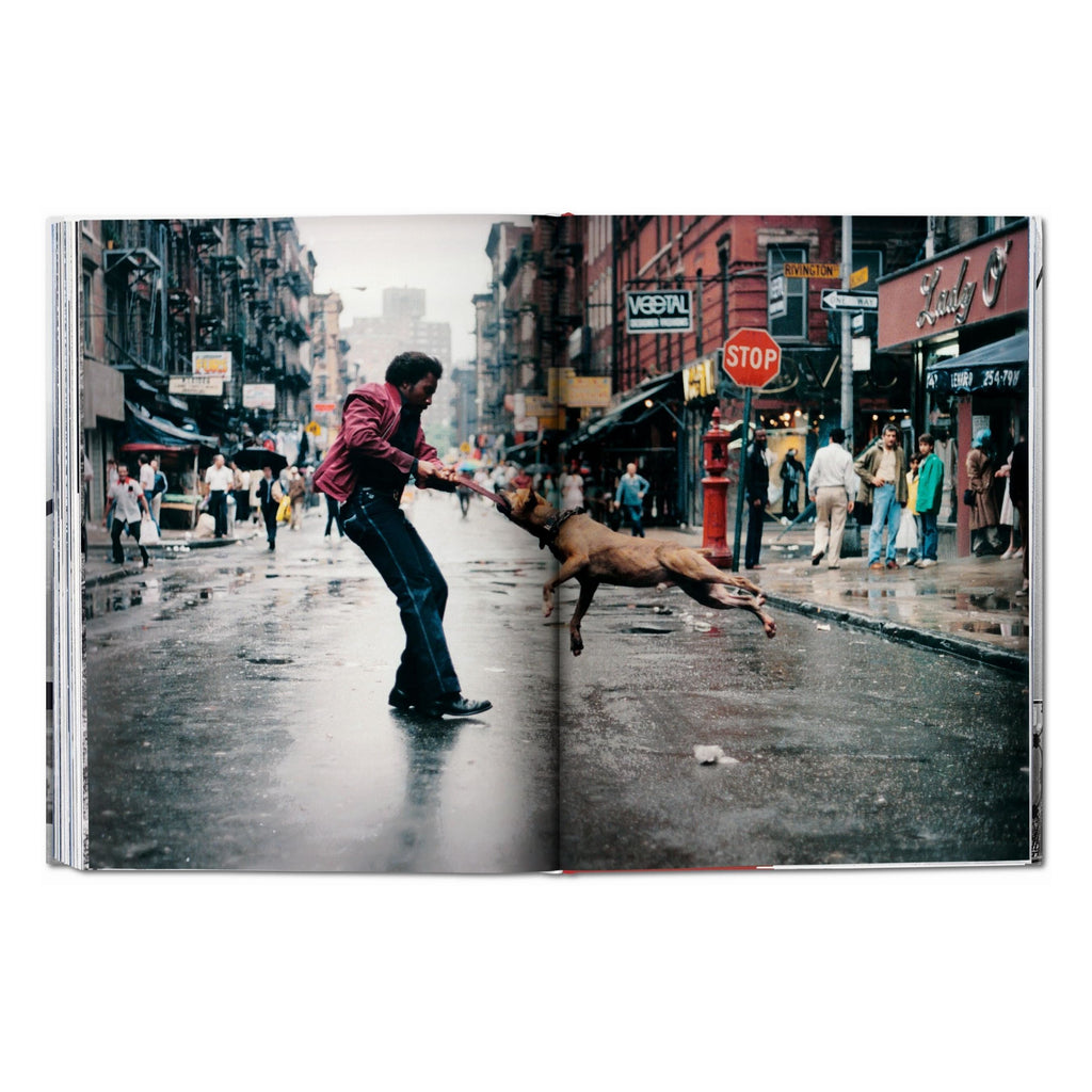 New York: Portrait of a City (German, French, English)