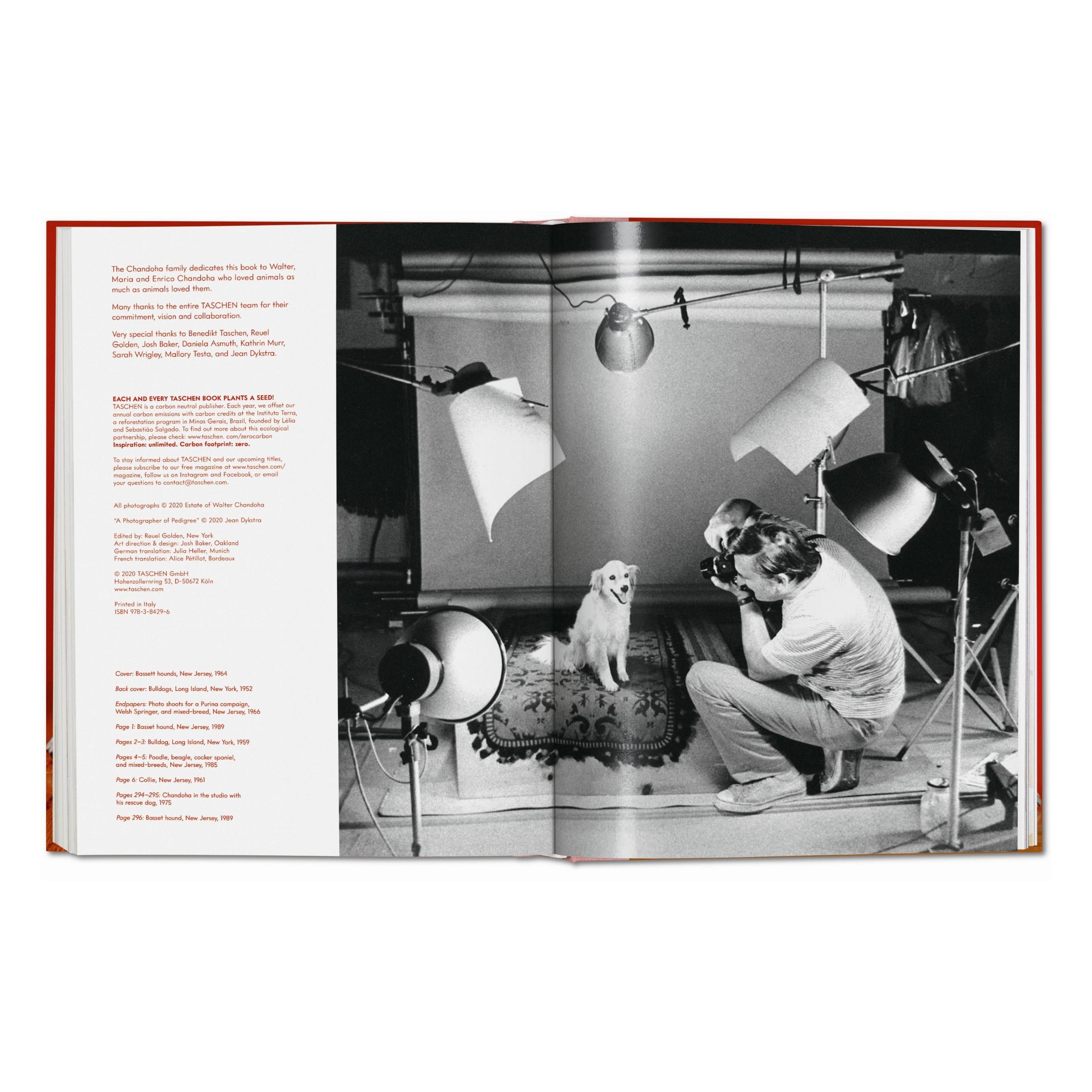 Walter Chandoha: Dogs. Photographs 1941–1991 (German, French, English)