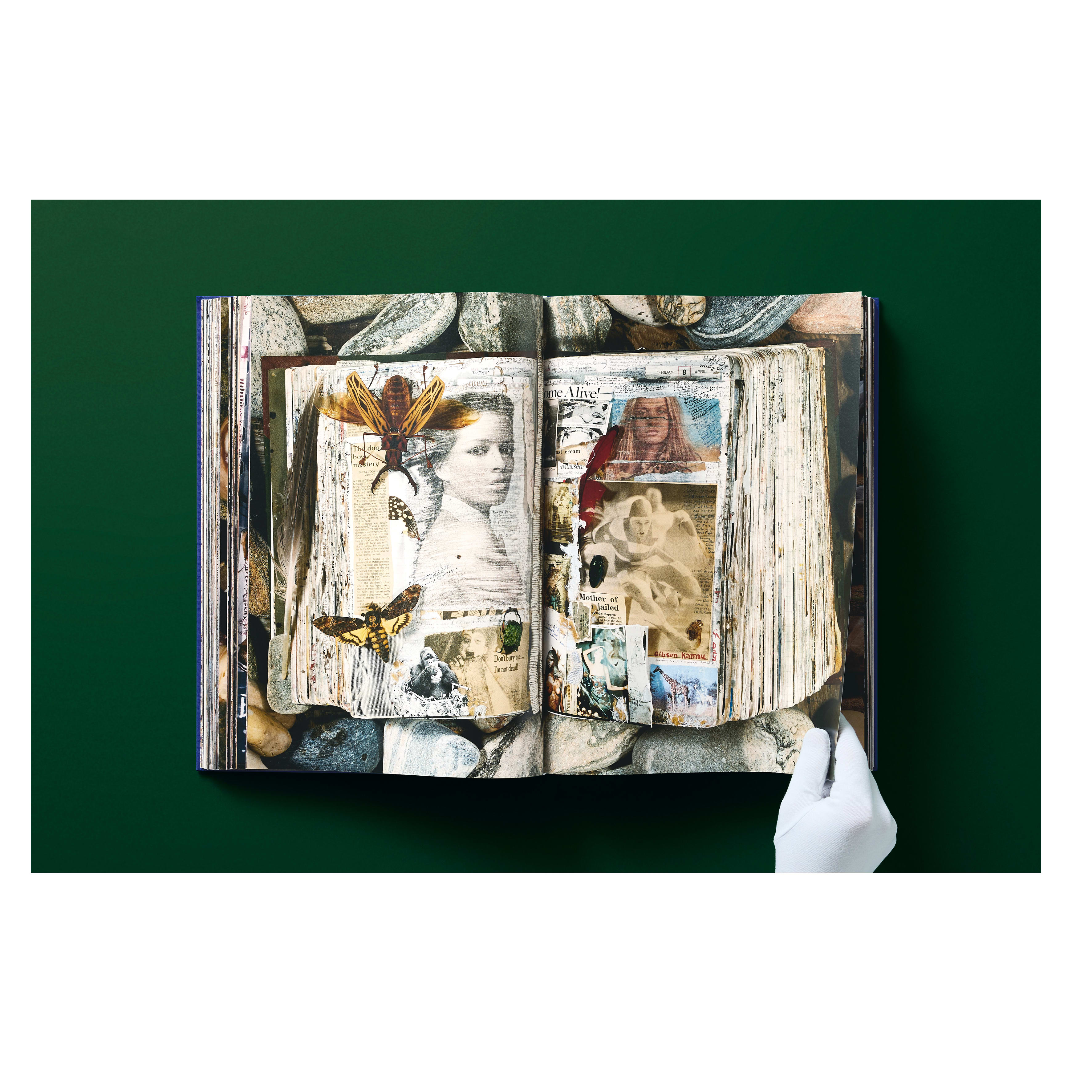 Peter Beard (German, French, English)