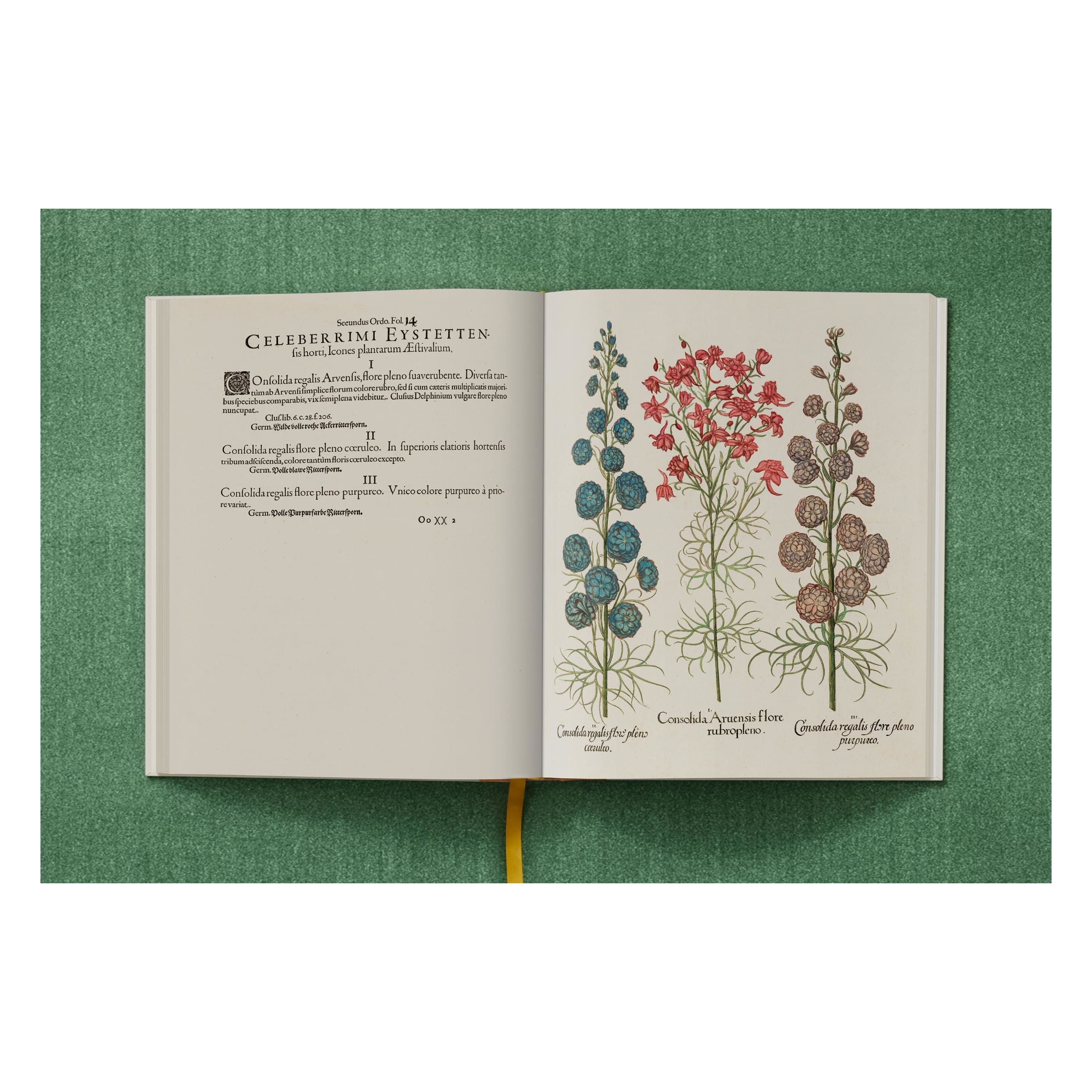 Basilius Besler: The Garden at Eichstätt (German, French, English)