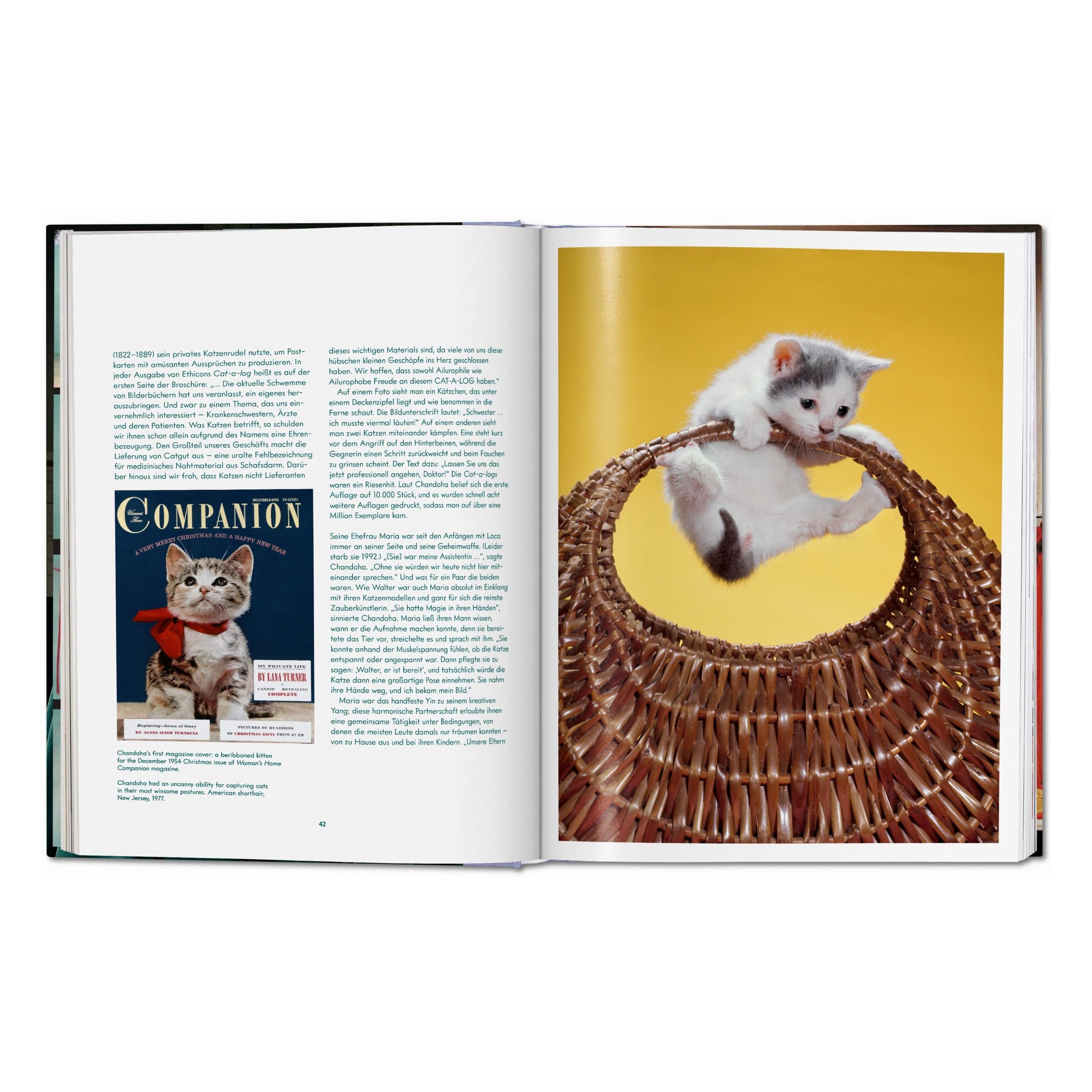 Walter Chandoha: Cats, Photographs 1942–2018 (German, French, English)