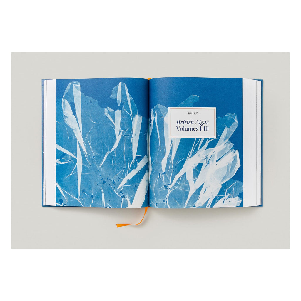 Anna Atkins. Cyanotypes (German, French, English)