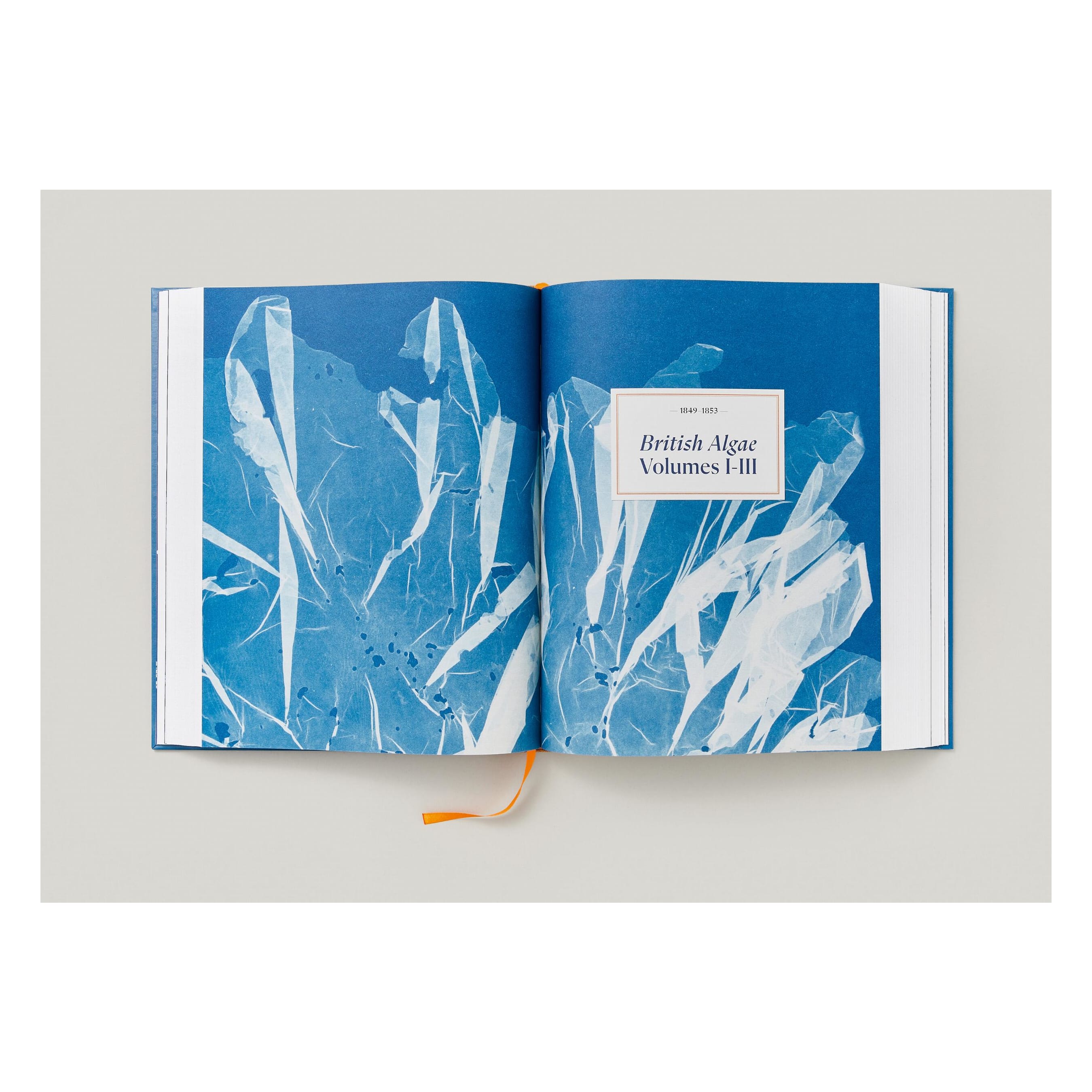 Anna Atkins. Cyanotypes (German, French, English)