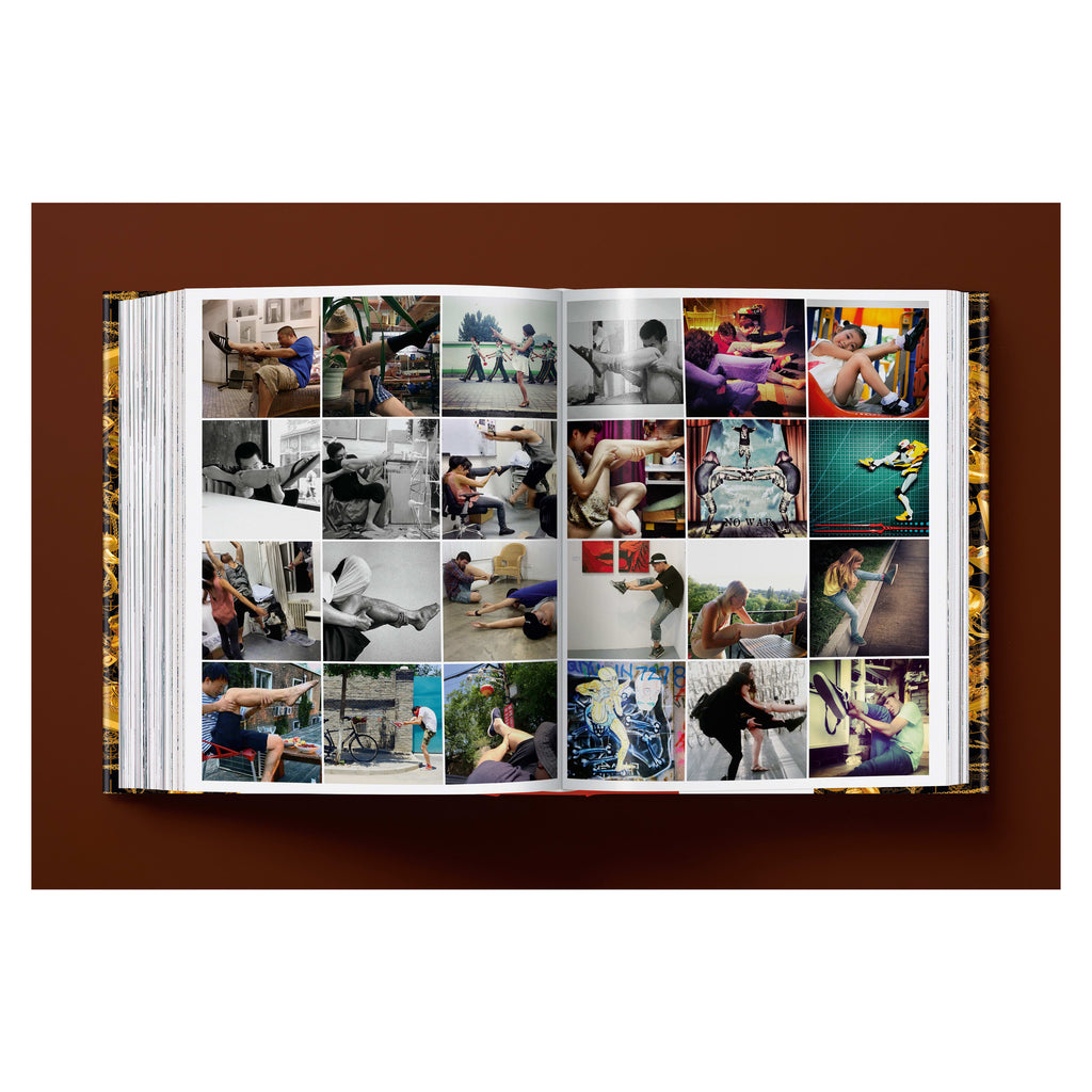 Ai Weiwei: Updated Edition (German, French, English)