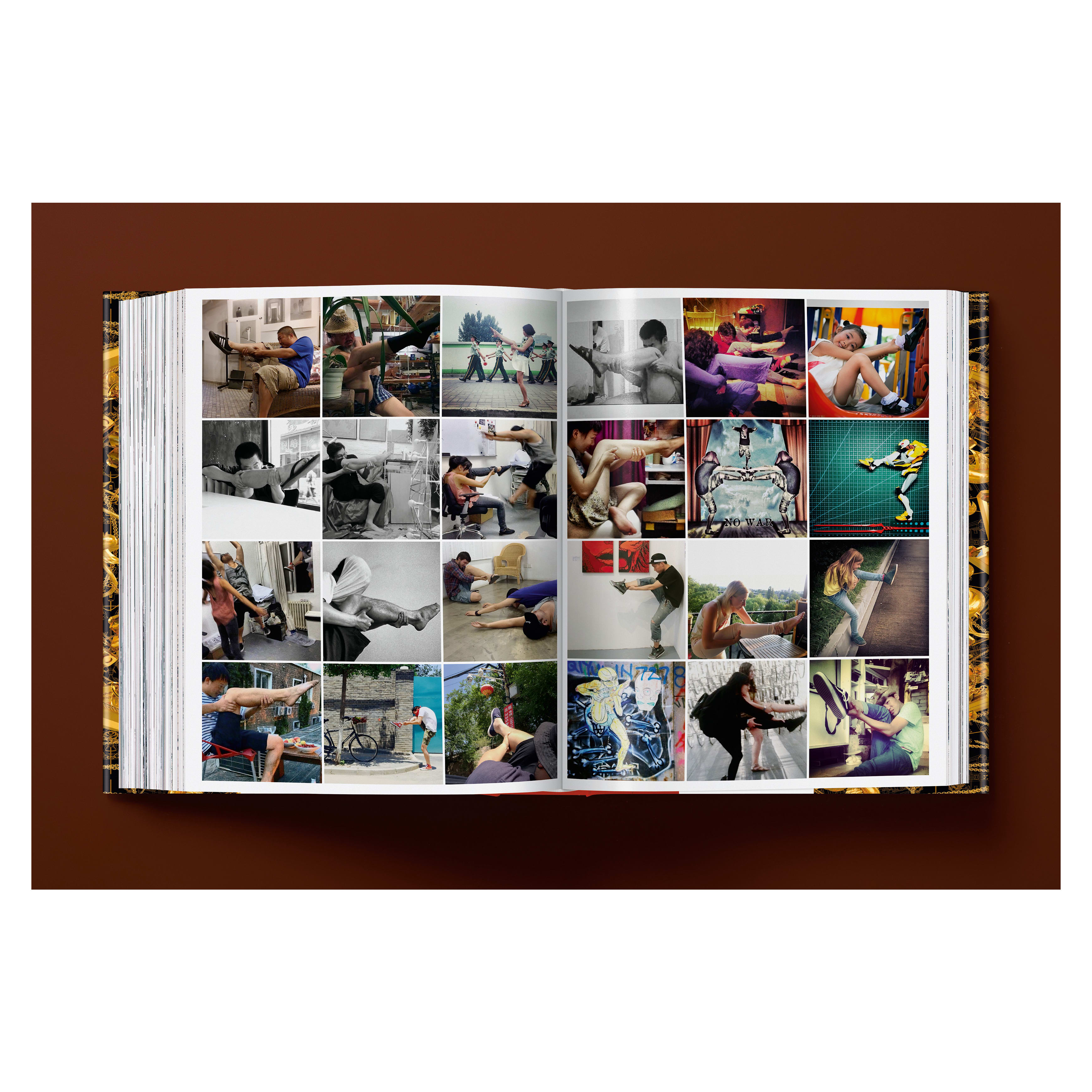 Ai Weiwei: Updated Edition (German, French, English)