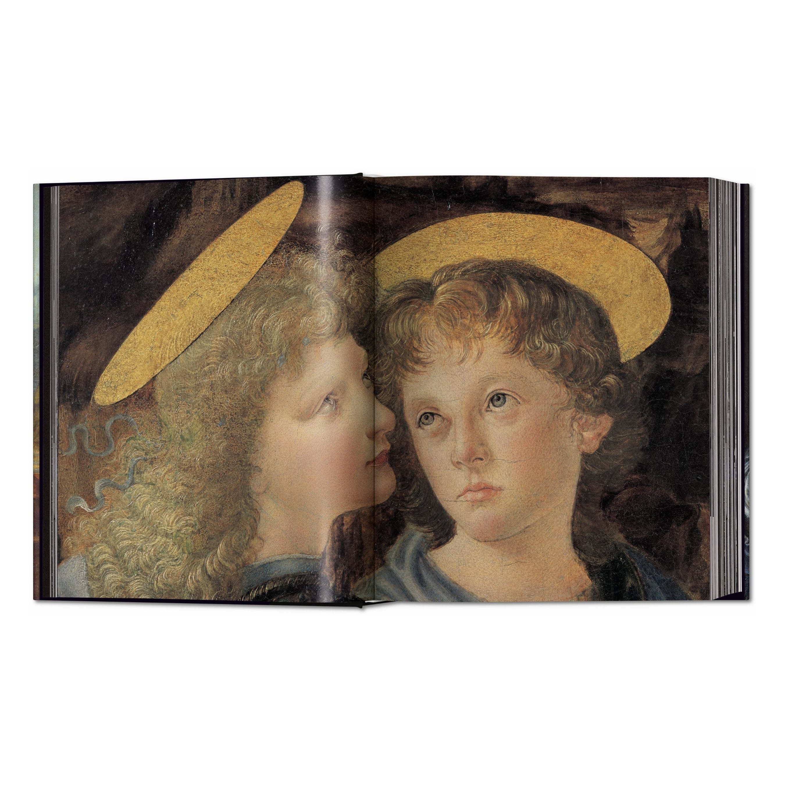 Leonardo: The Complete Paintings and Drawings