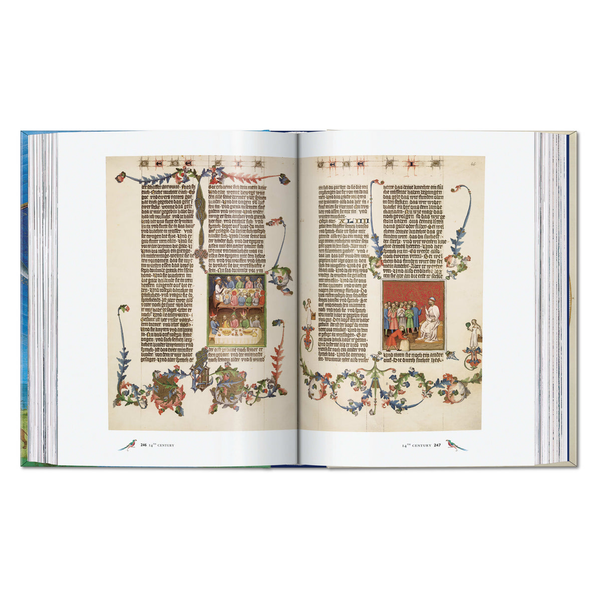 Codices illustres: The world's most famous illuminated manuscripts 400 to 1600 (English)