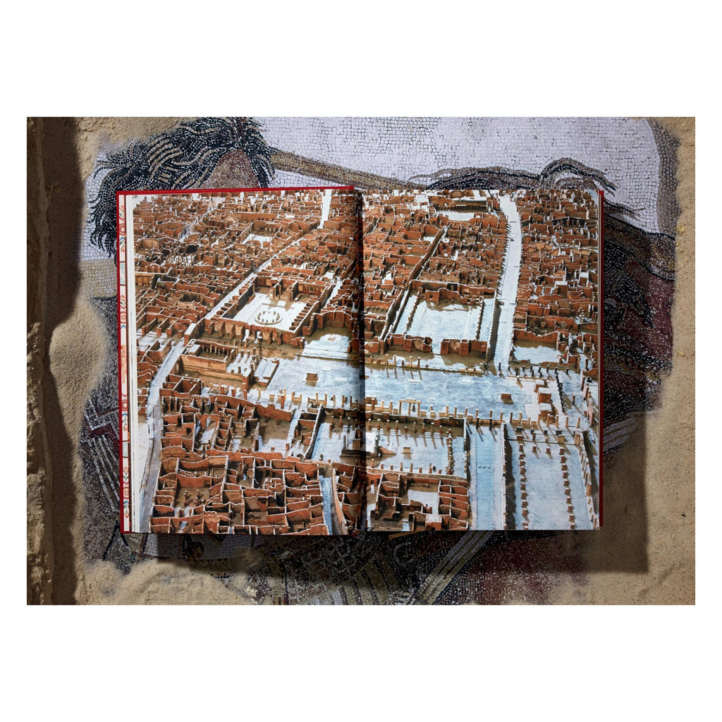 Fausto & Felice Niccolini: Houses and Monuments of Pompeii (German, French, English)
