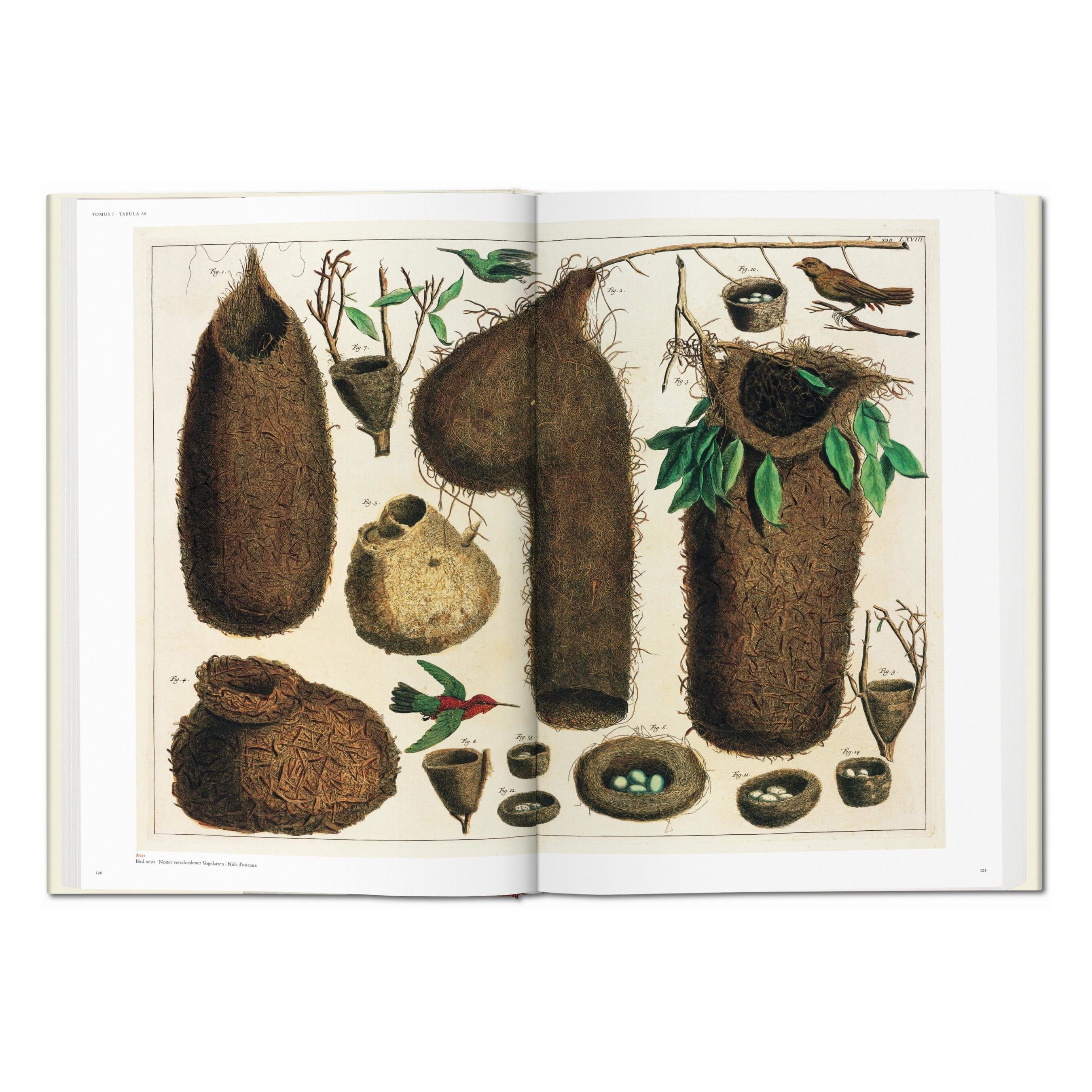 Seba: Cabinet of Natural Curiosities (German, French, English)